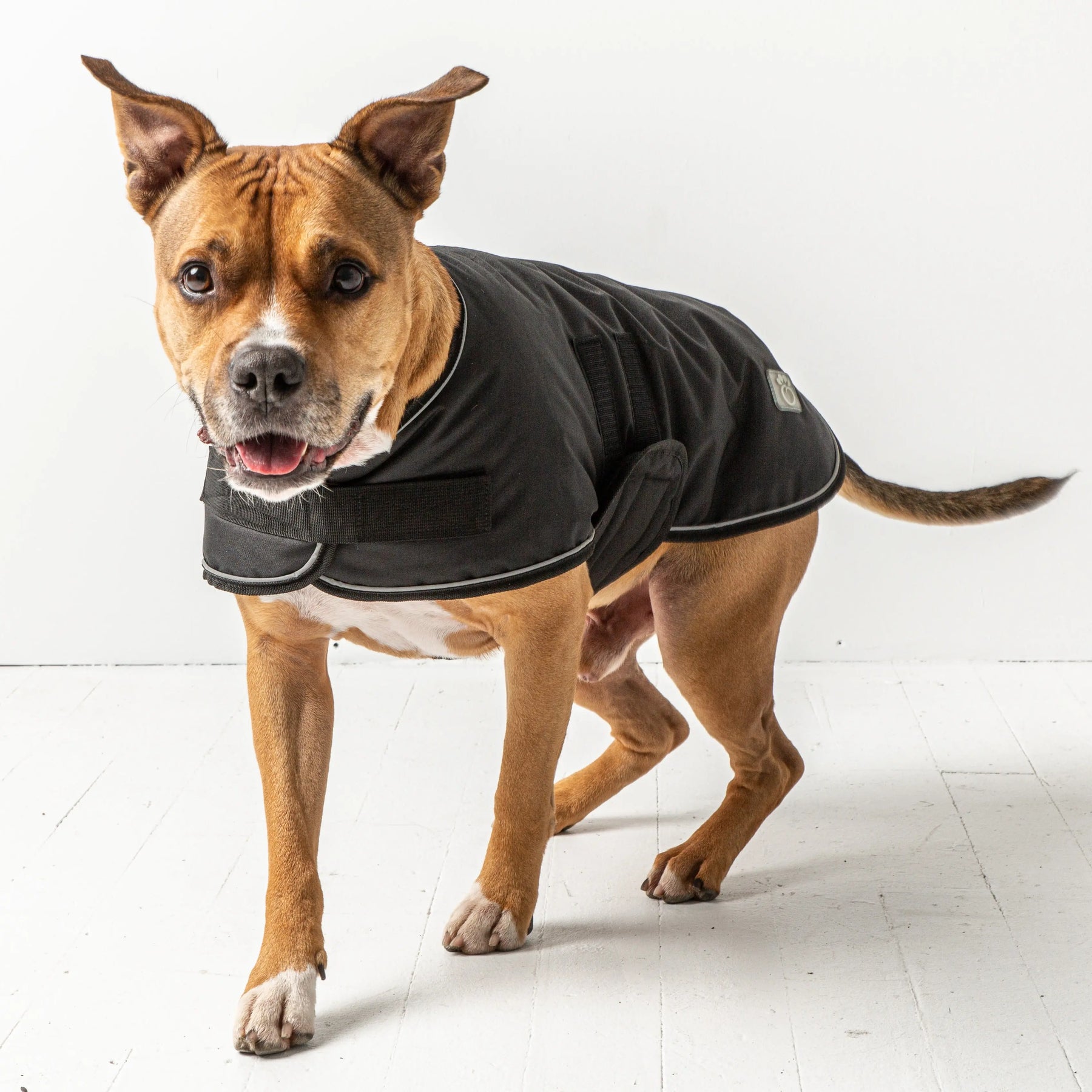 Blanket Jacket - Black GF PET