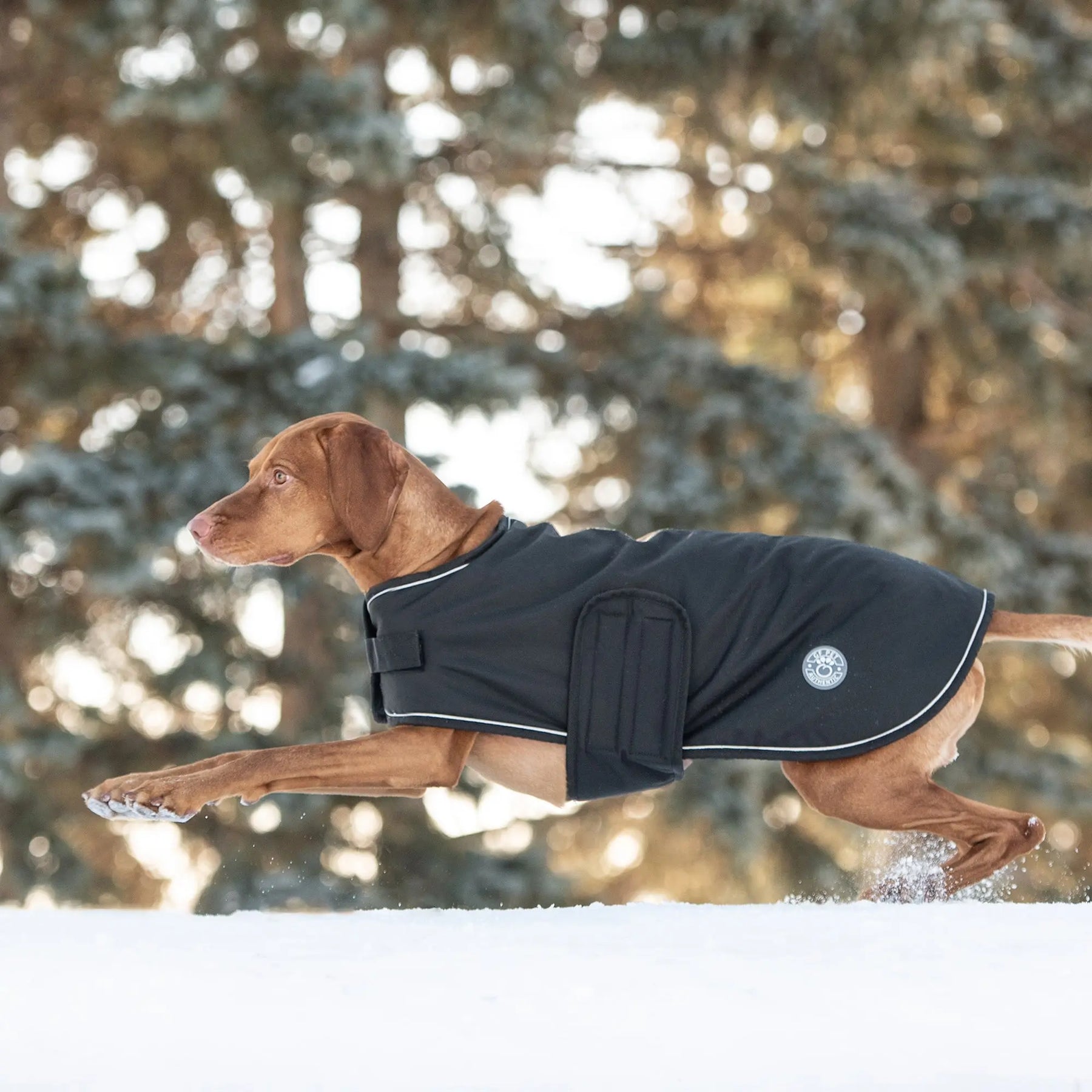 Blanket Jacket - Black GF PET