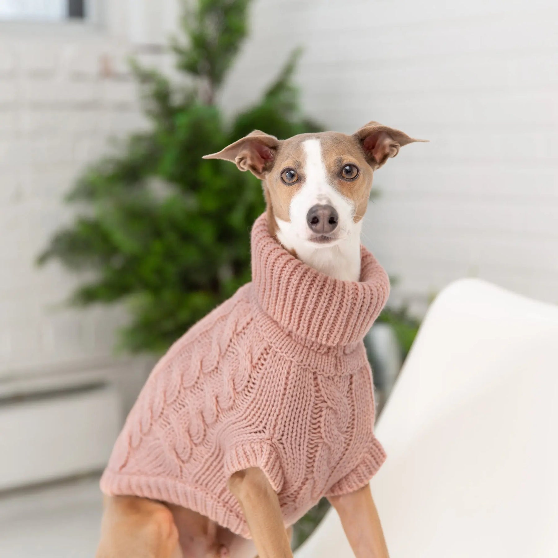 Chalet Sweater - Pink GF PET