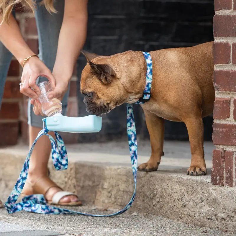 Collapsible Water Bottle GF PET