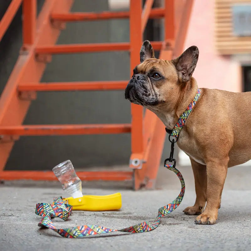 Collapsible Water Bottle GF PET