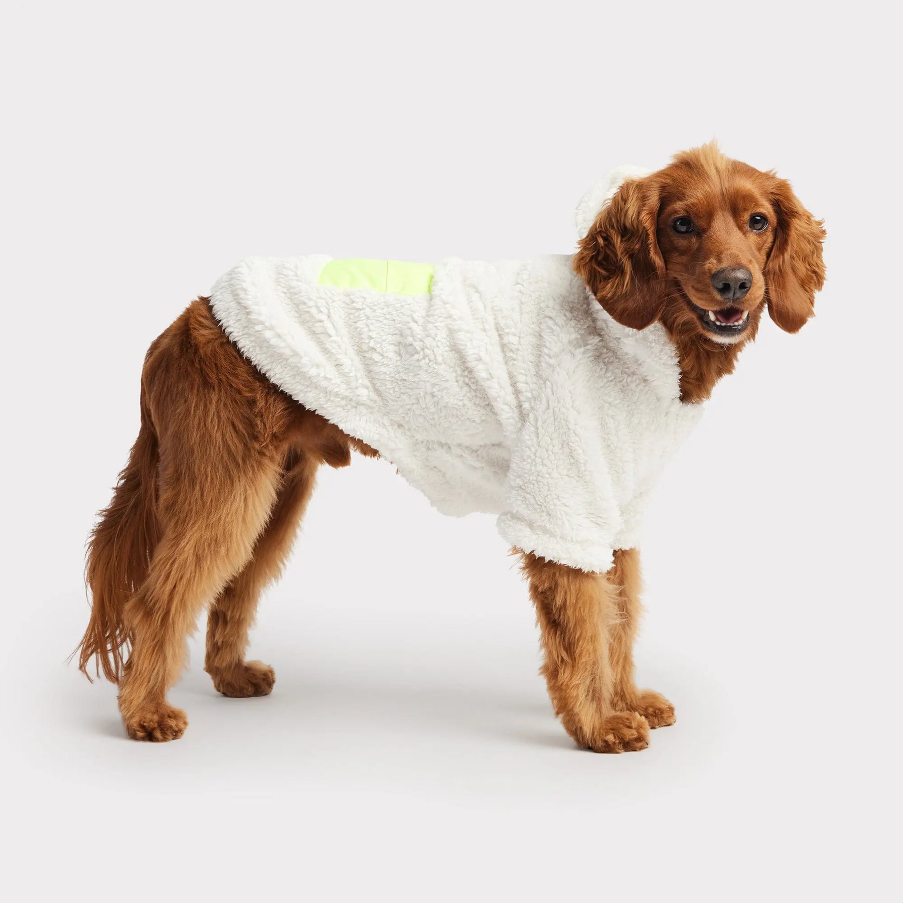 Cozy Dog Hoodie | Off White GF PET Apparel GF Pet Official Online Store