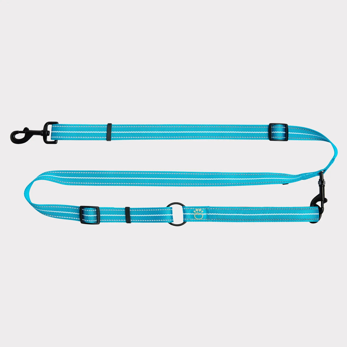 EEZY-6® Reflective Dog Leash | Neon Blue GF PET