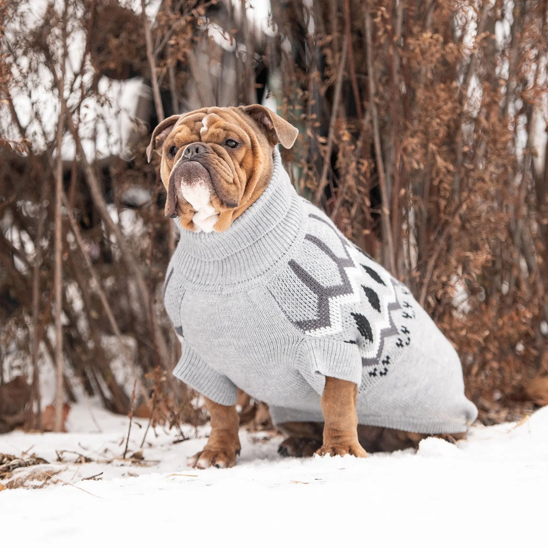 Heritage Dog Sweater | Grey Mix GF PET Apparel GF Pet Official Online Store
