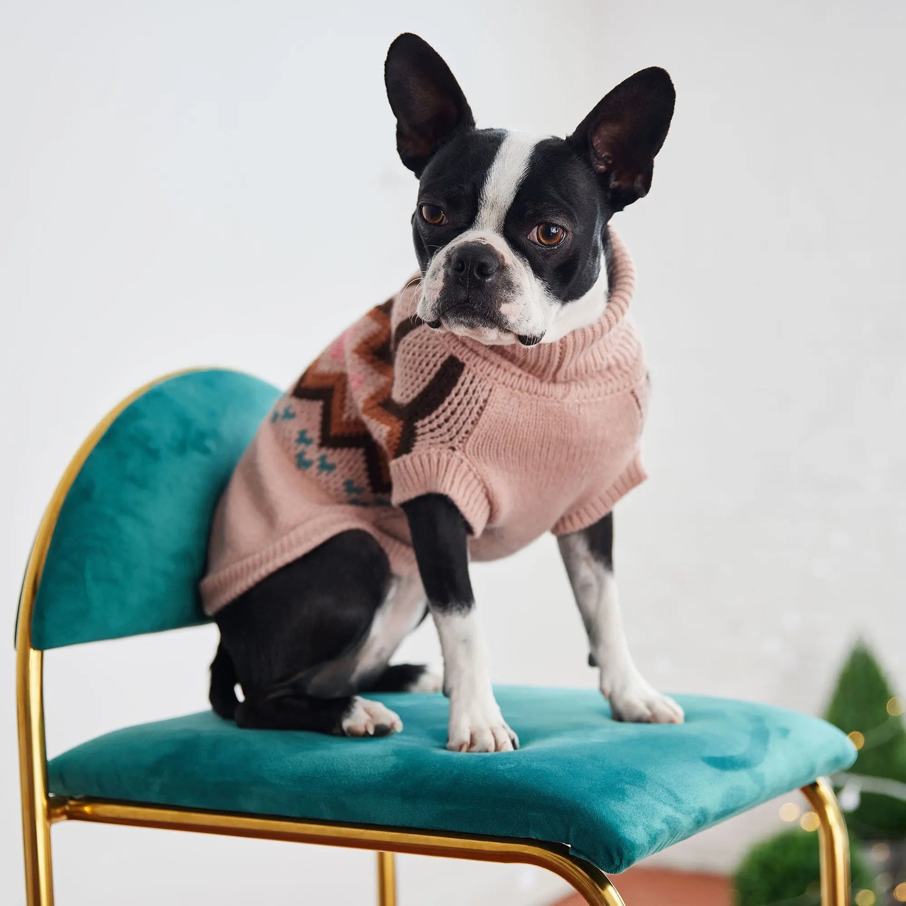 Heritage Dog Sweater | Pink GF PET Apparel GF Pet Official Online Store