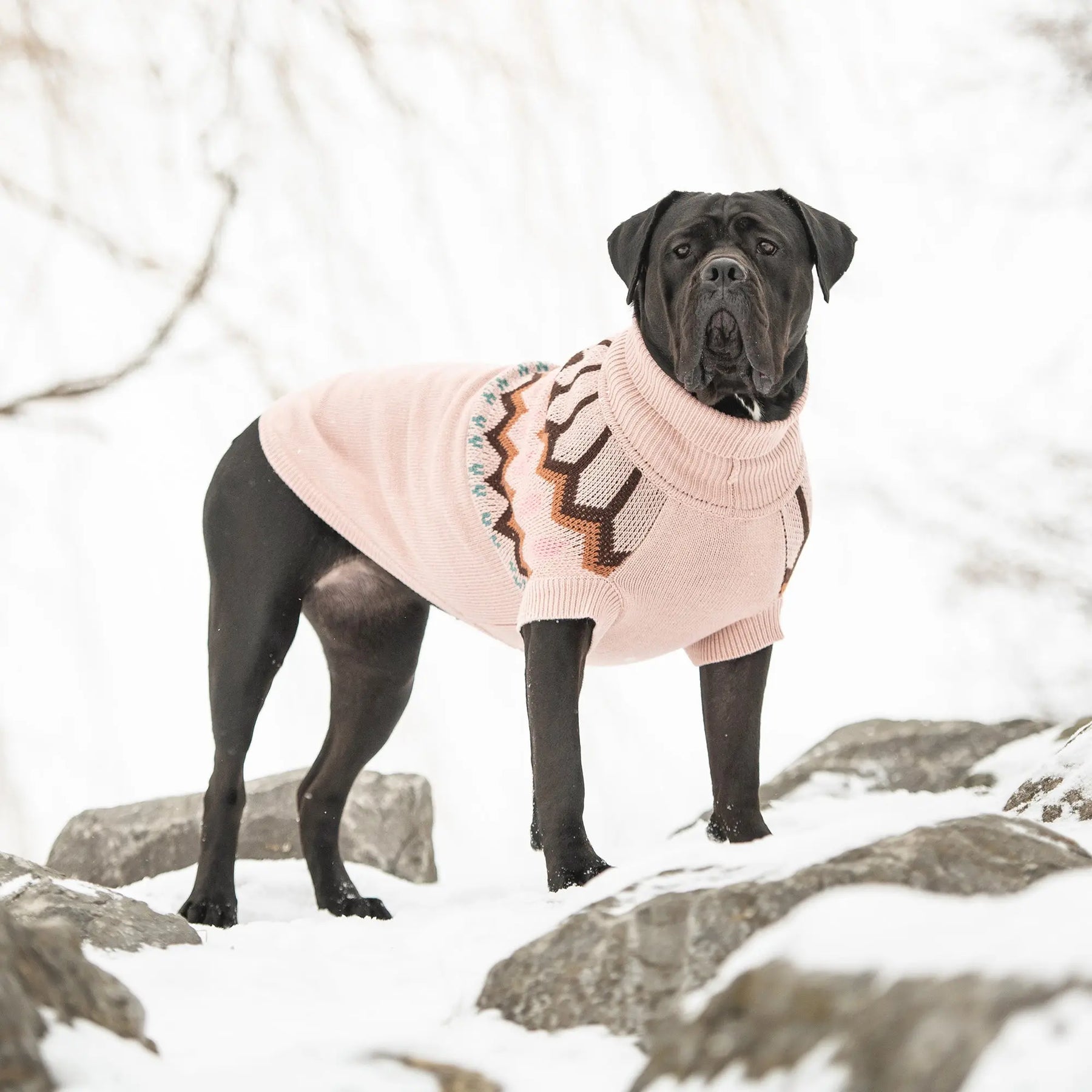 Heritage Dog Sweater | Pink GF PET Apparel GF Pet Official Online Store