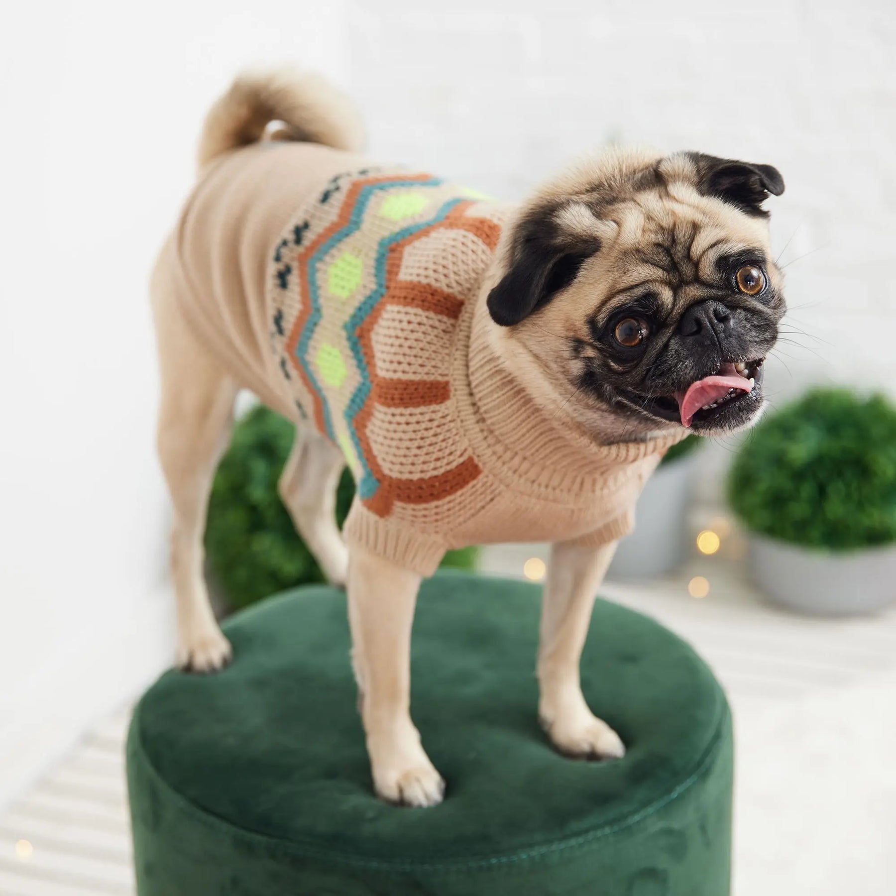 Heritage Dog Sweater | Sand GF PET Apparel GF Pet Official Online Store