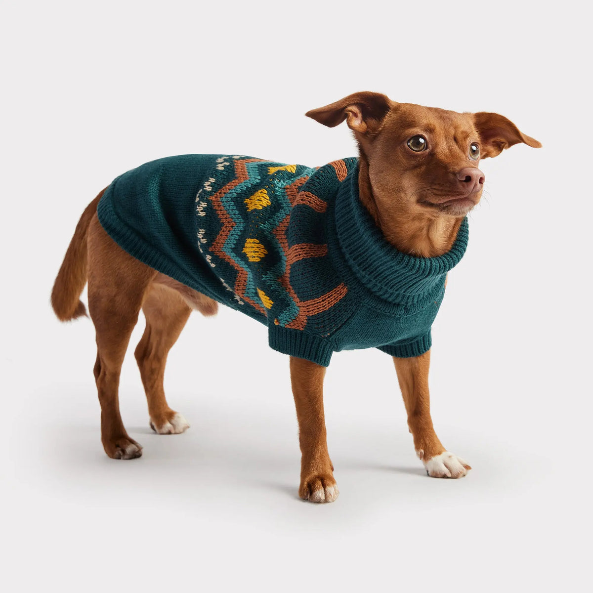 Heritage Dog Sweater | Teal GF PET Apparel GF Pet Official Online Store