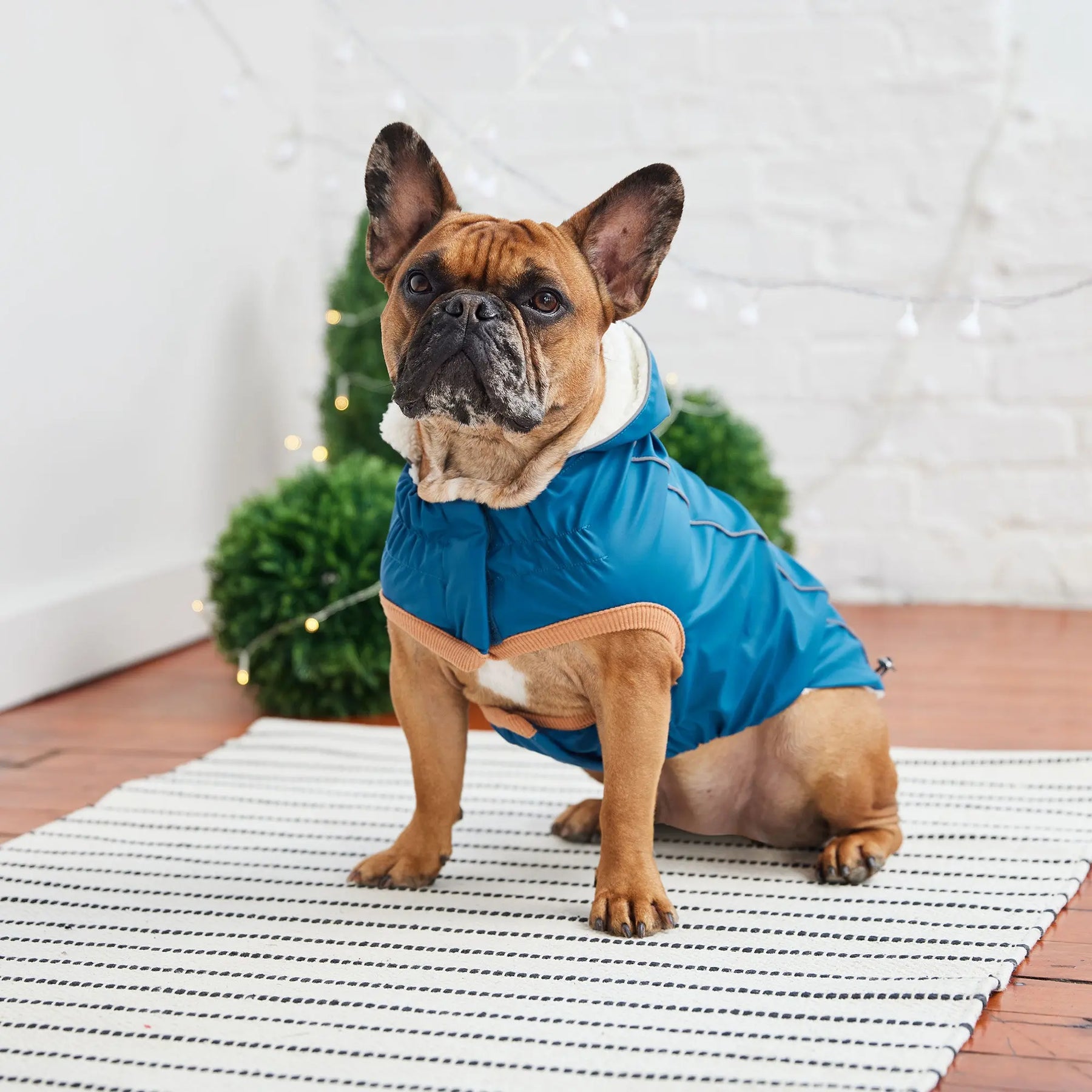Insulated Dog Raincoat | Dark Blue GF PET Apparel GF Pet Official Online Store