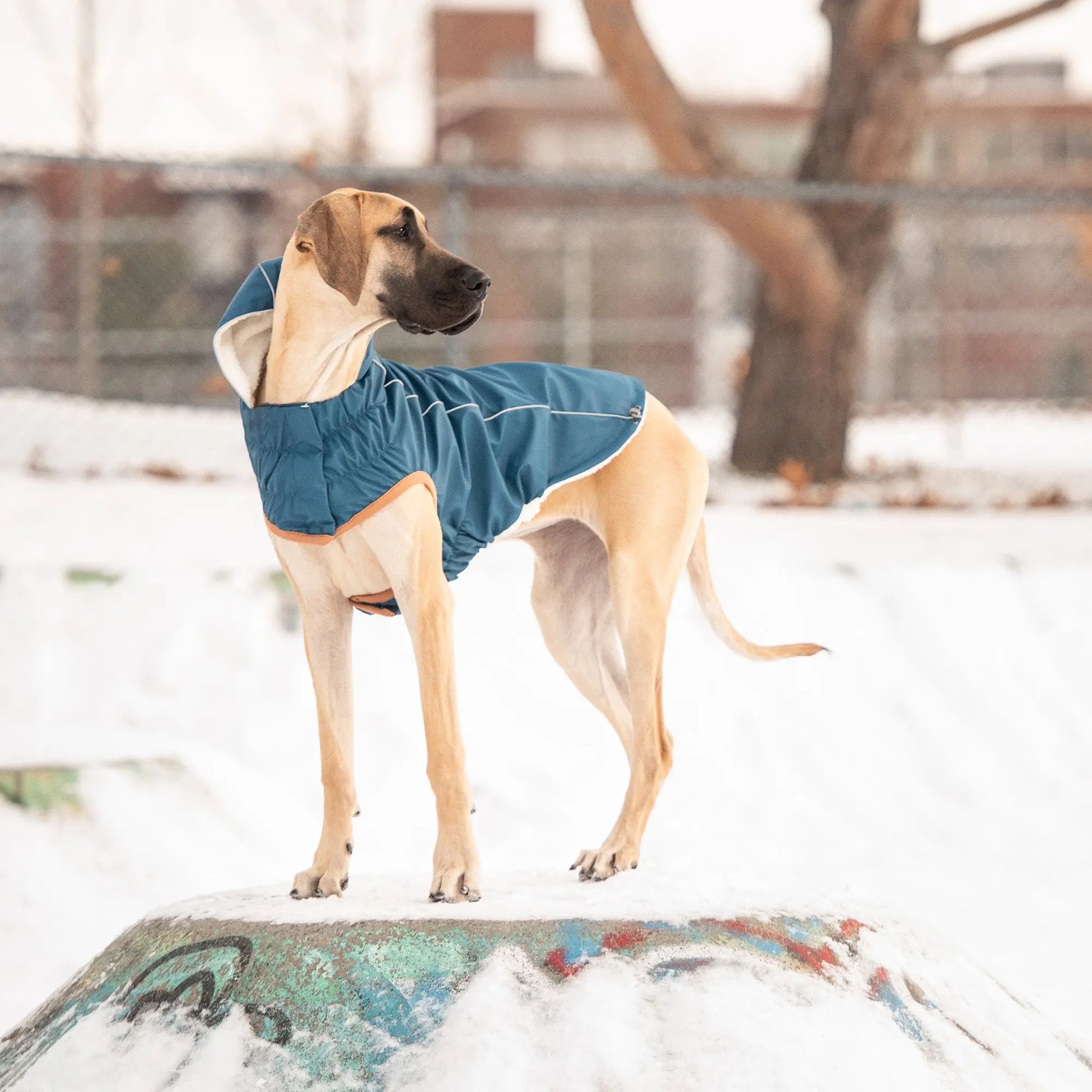 Insulated Dog Raincoat | Dark Blue GF PET Apparel GF Pet Official Online Store
