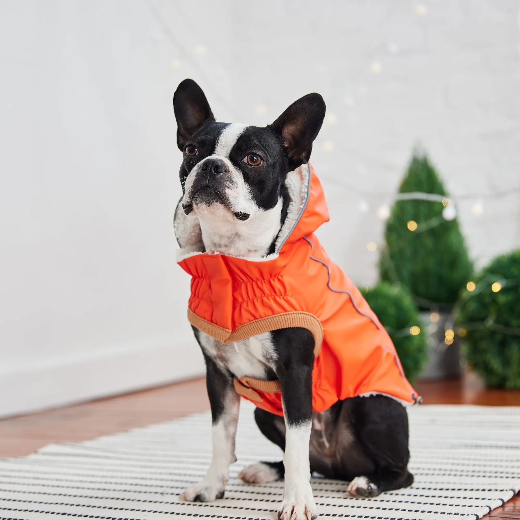Insulated Dog Raincoat | Orange GF PET Apparel GF Pet Official Online Store