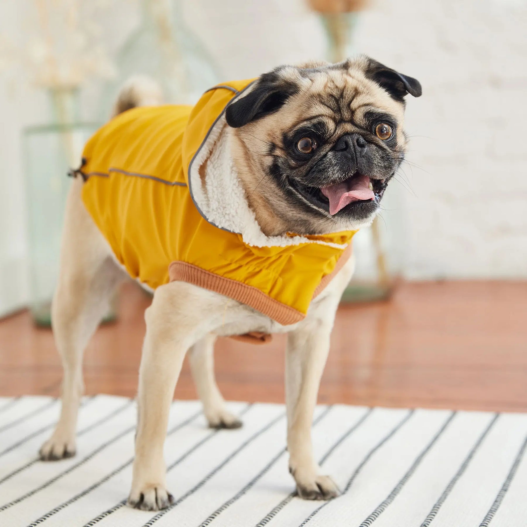 Insulated Dog Raincoat | Yellow GF PET Apparel GF Pet Official Online Store