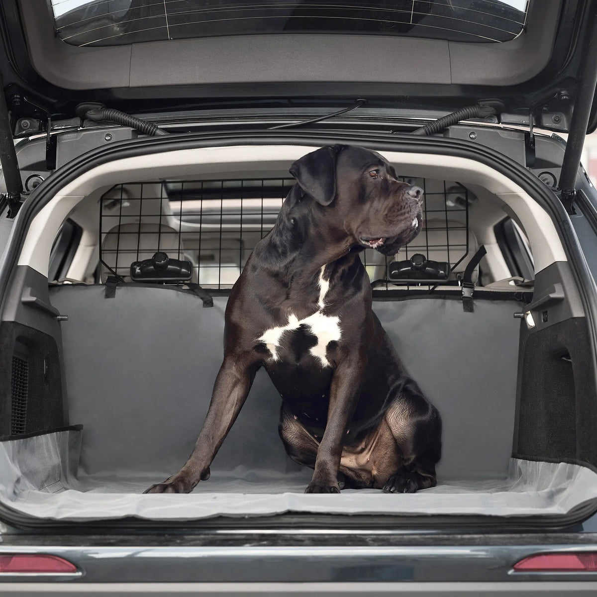 Pet Cargo Cover GF PET