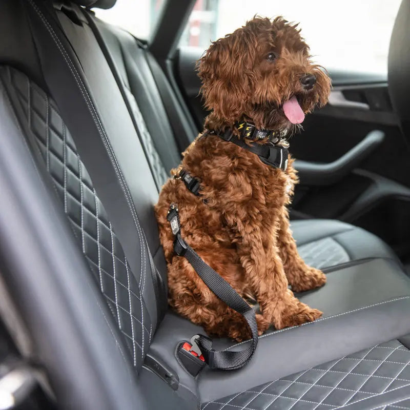 Dog Car Seat Belt Leash – Adjustable Safety Harness With Elastic + Free Pet Bowl