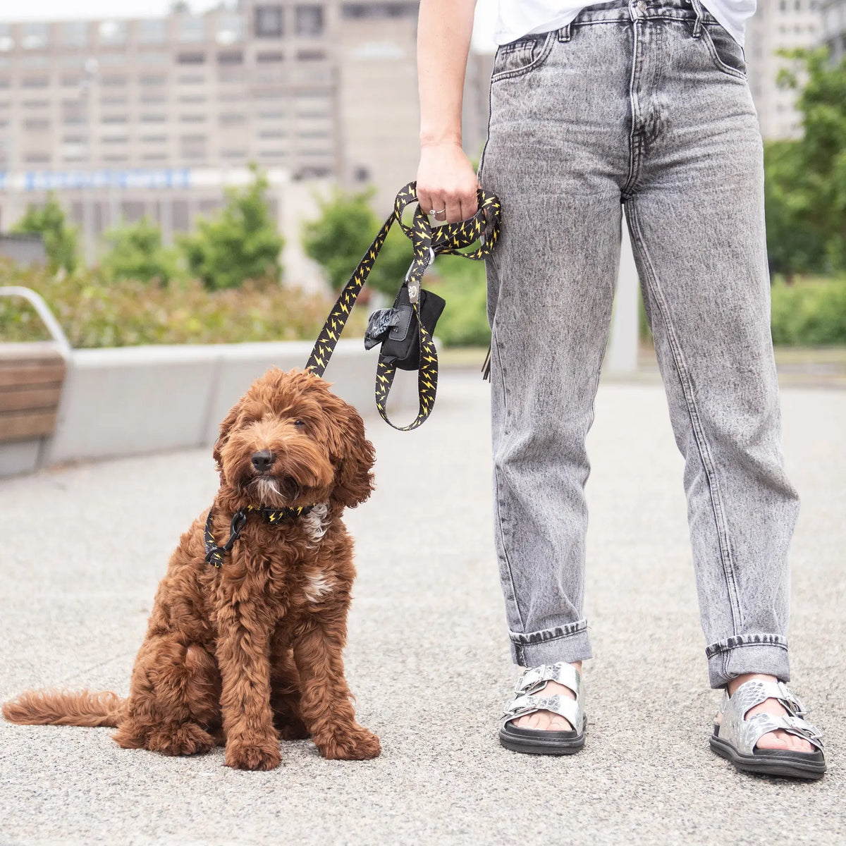 Poop Bag Dispenser | Black GF PET