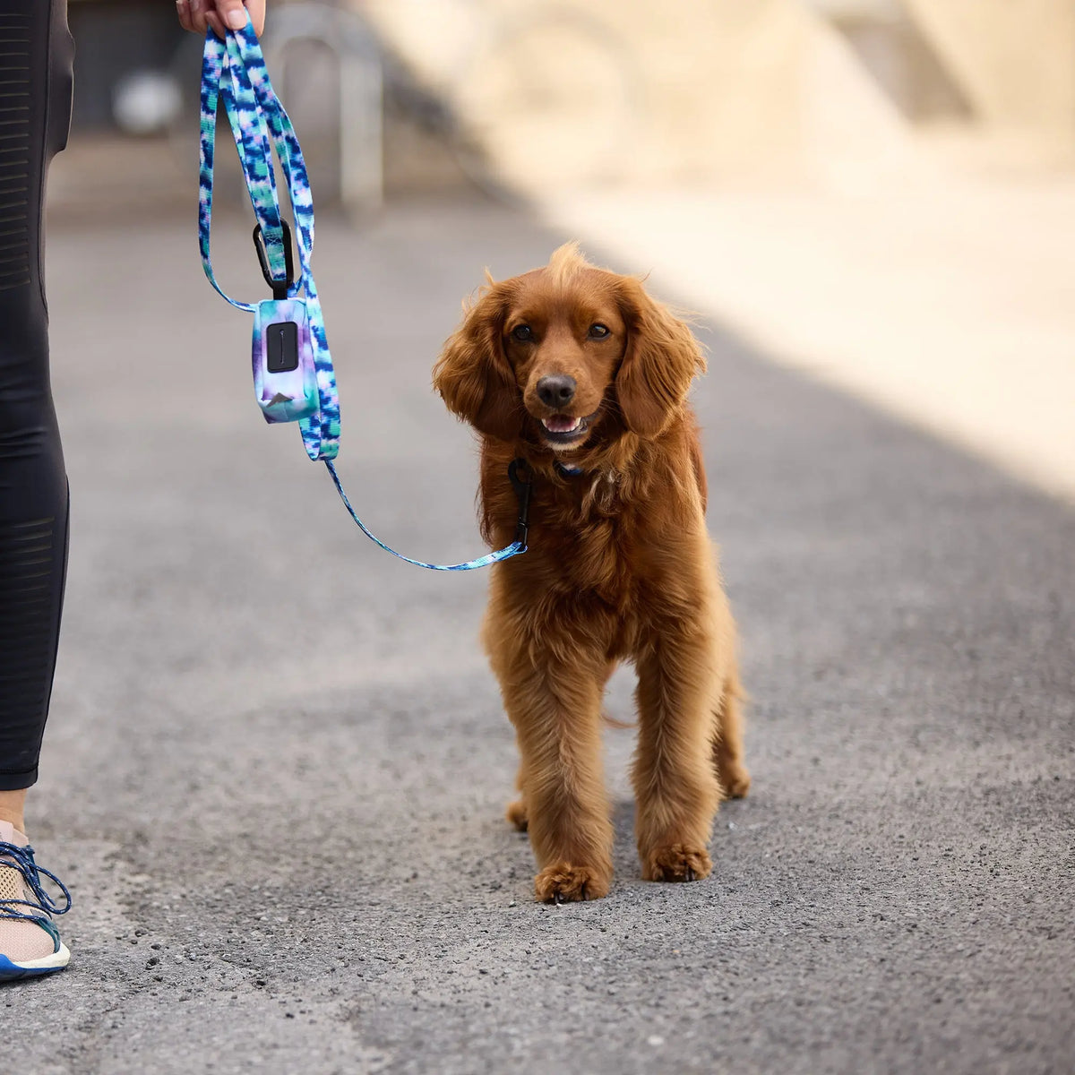 Poop Bag Dispenser | Tie-Dye GF PET