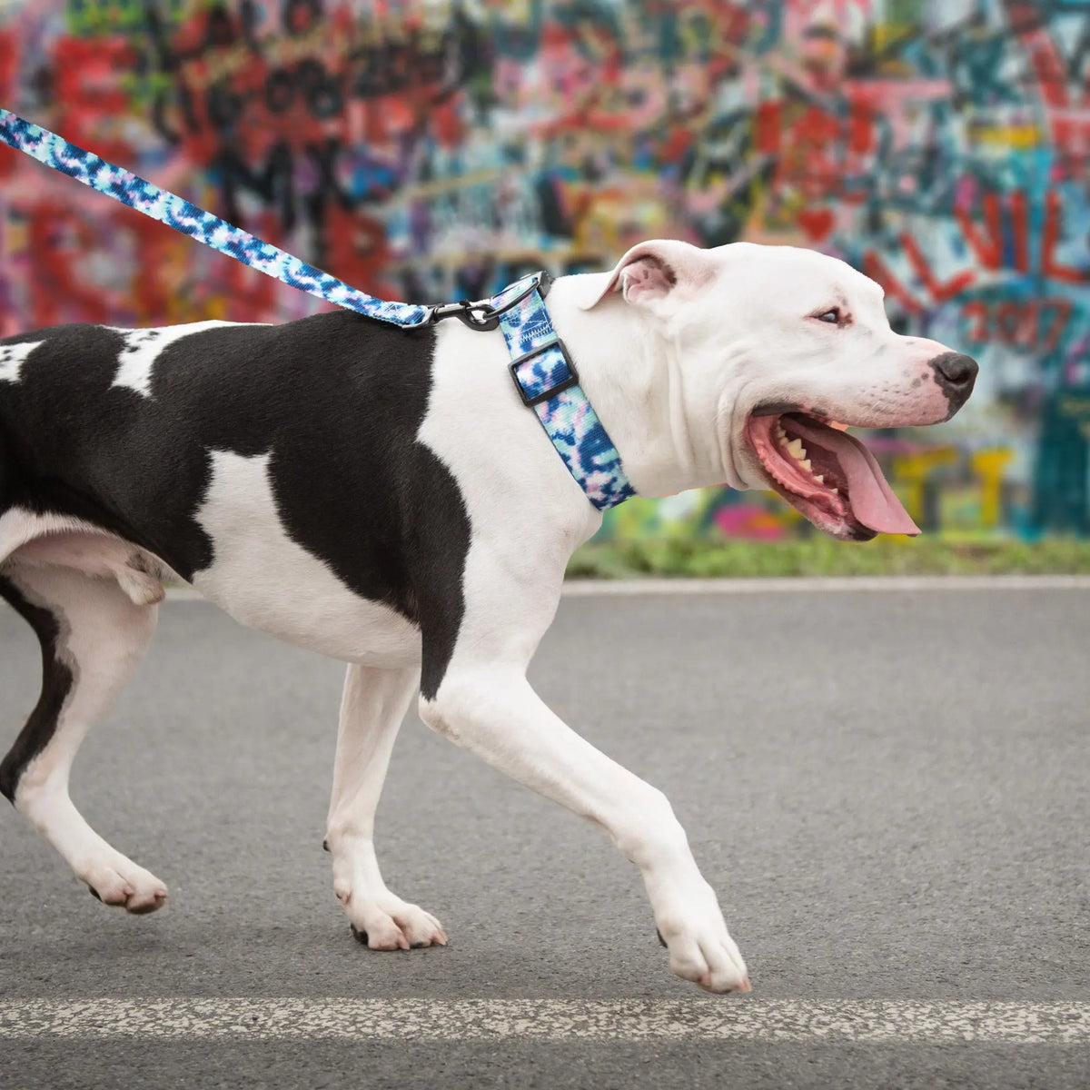 Printed Dog Collar | Tie-Dye GF PET