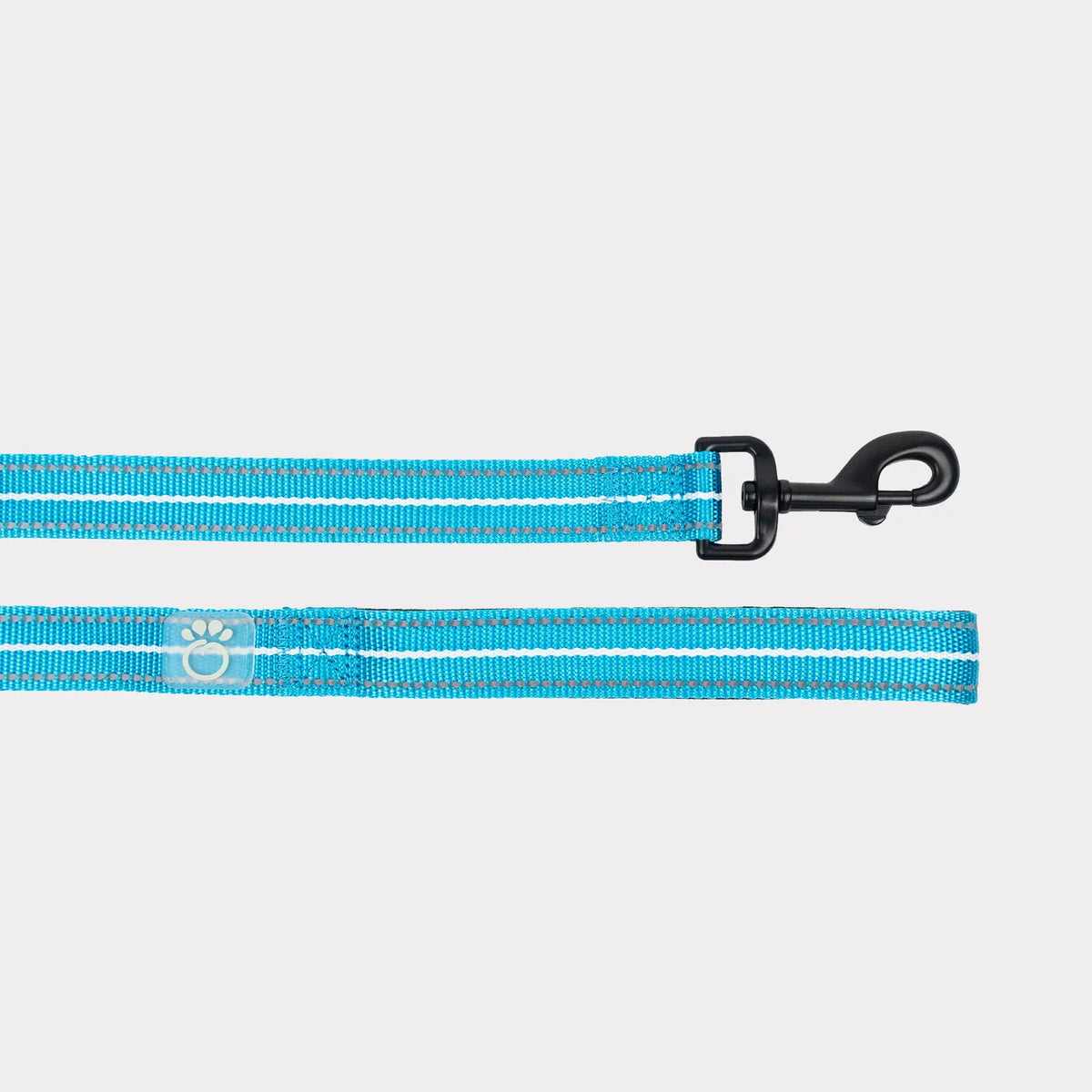 Reflective Dog Leash | Neon Blue GF PET