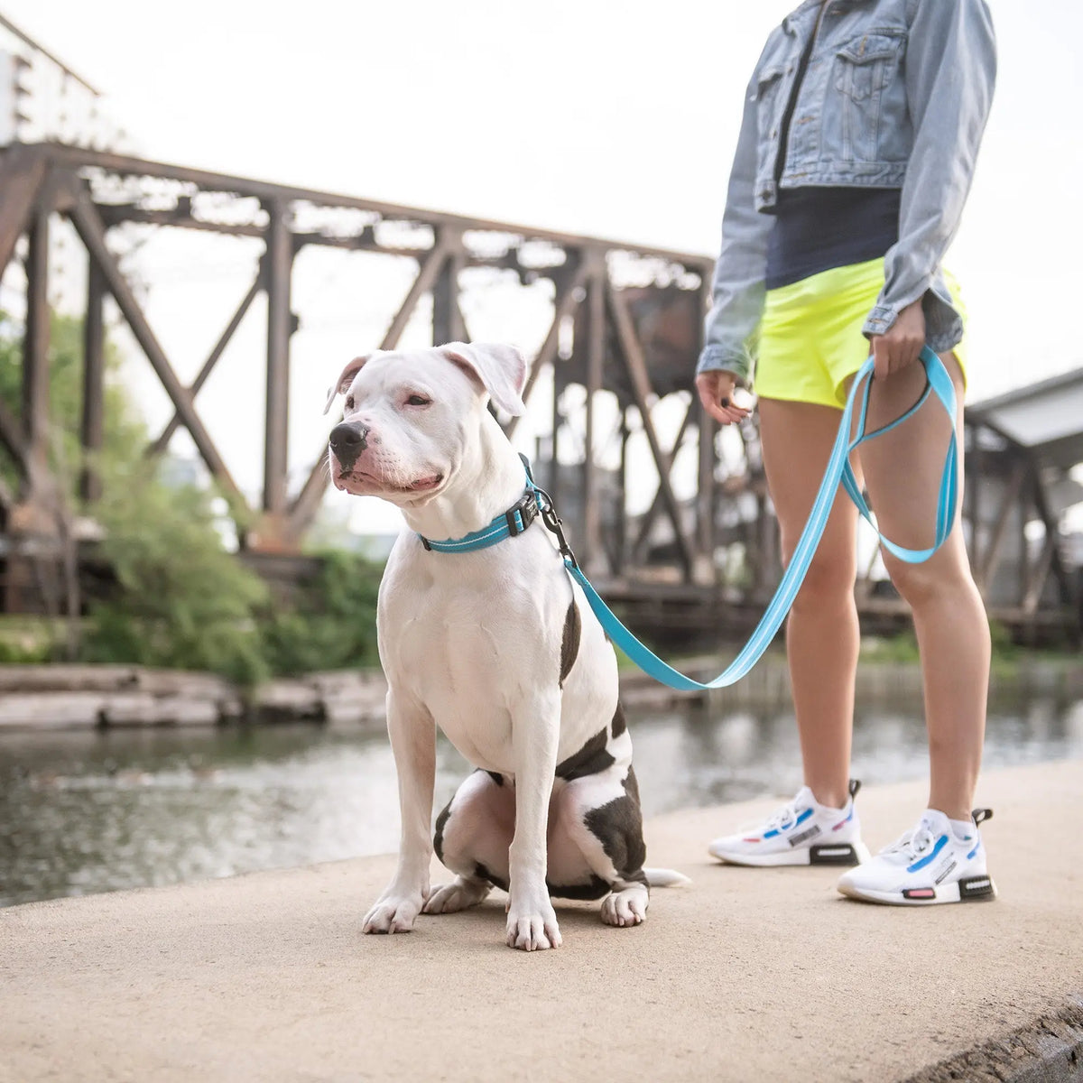 Reflective Dog Leash | Neon Blue GF PET