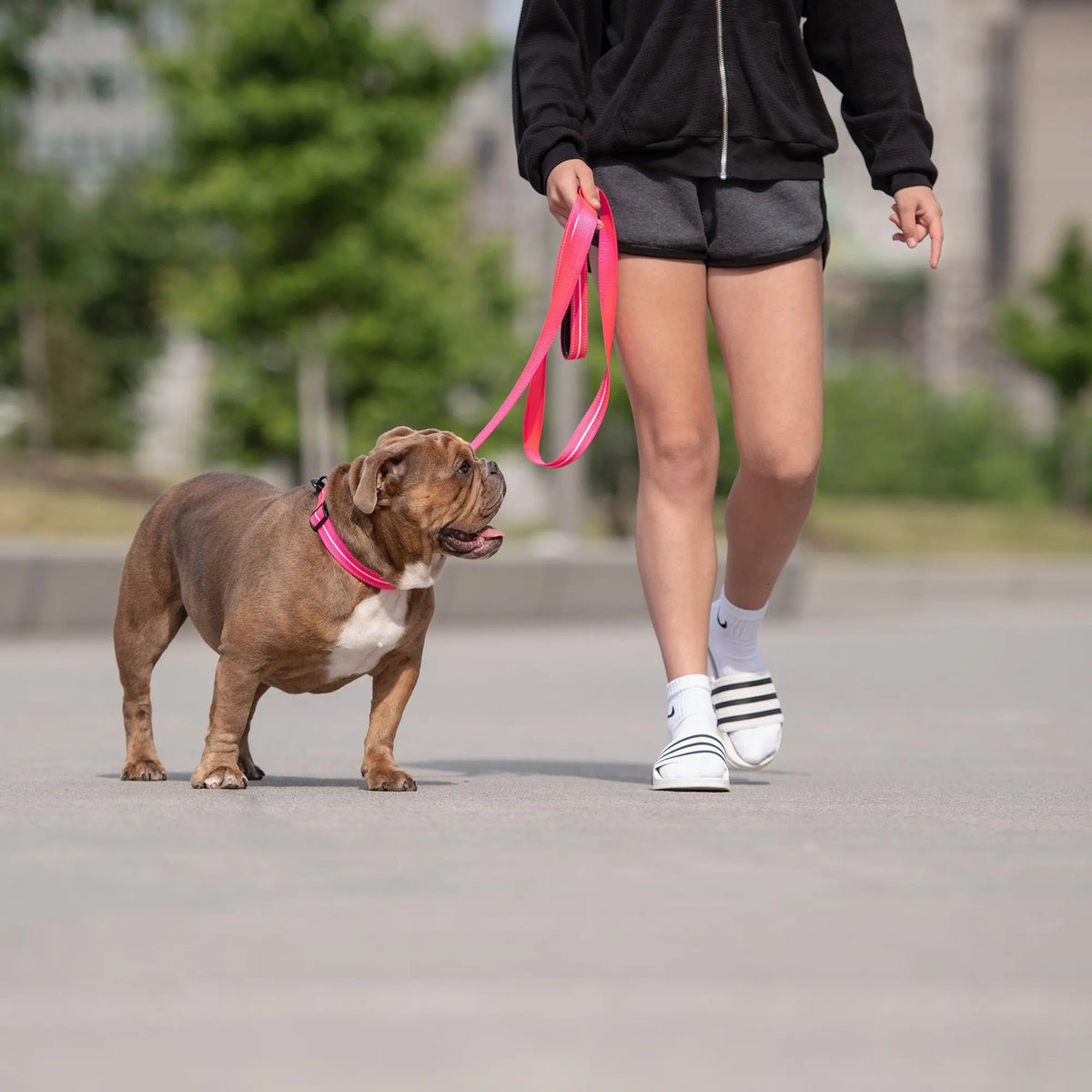 Reflective Dog Leash | Neon Pink GF PET