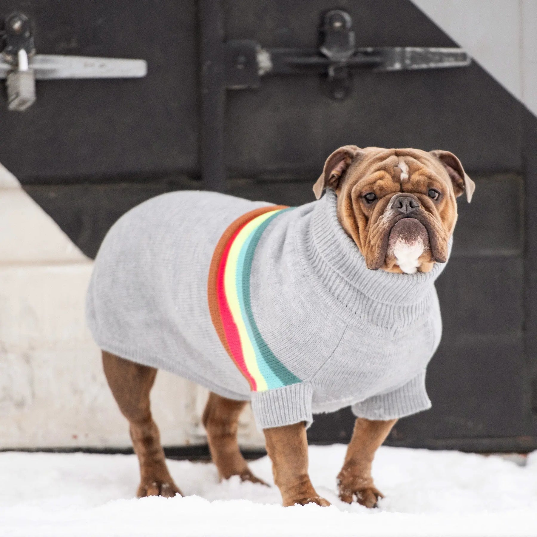 Retro Dog Sweater | Grey Mix GF PET Apparel GF Pet Official Online Store