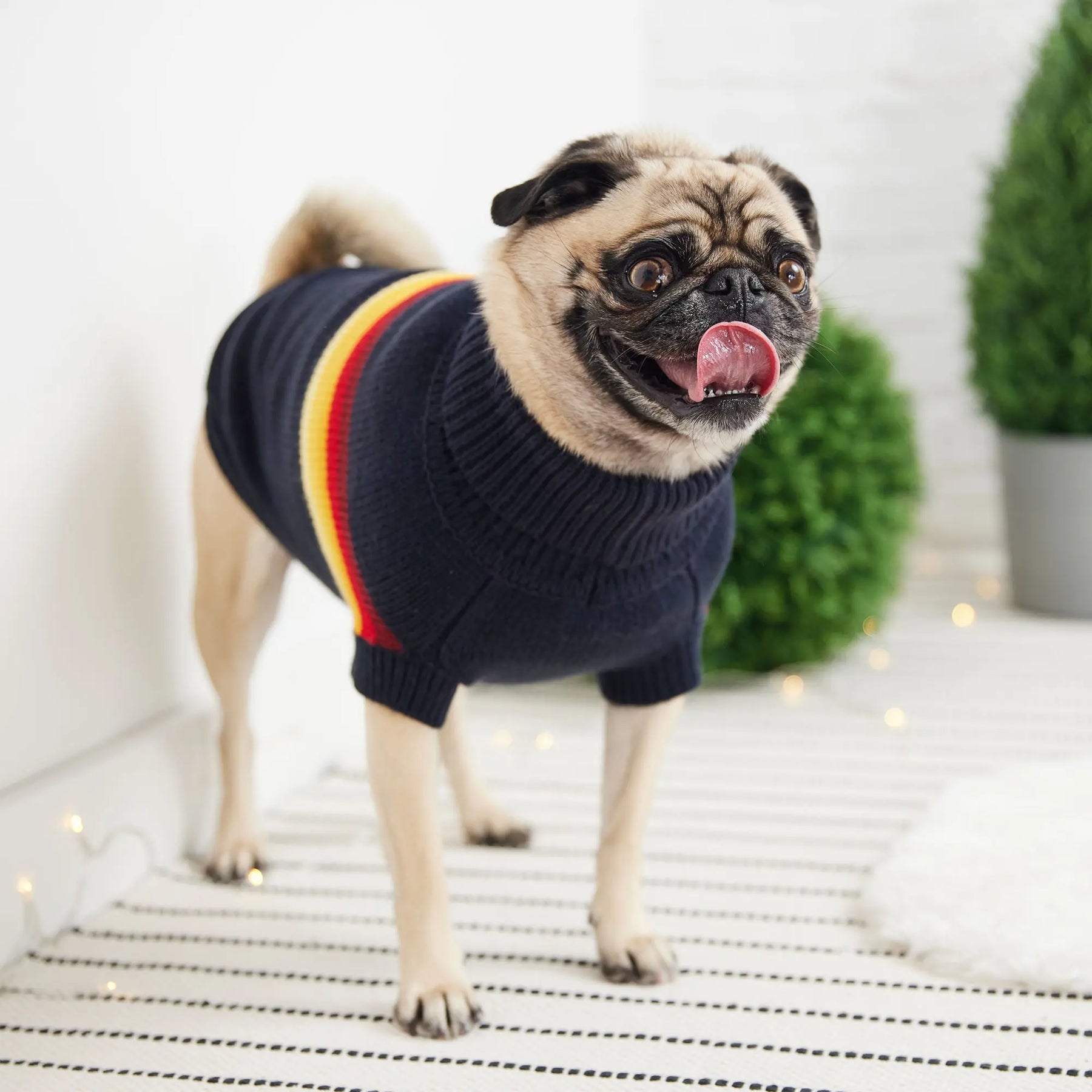 Retro Dog Sweater | Navy GF PET Apparel GF Pet Official Online Store