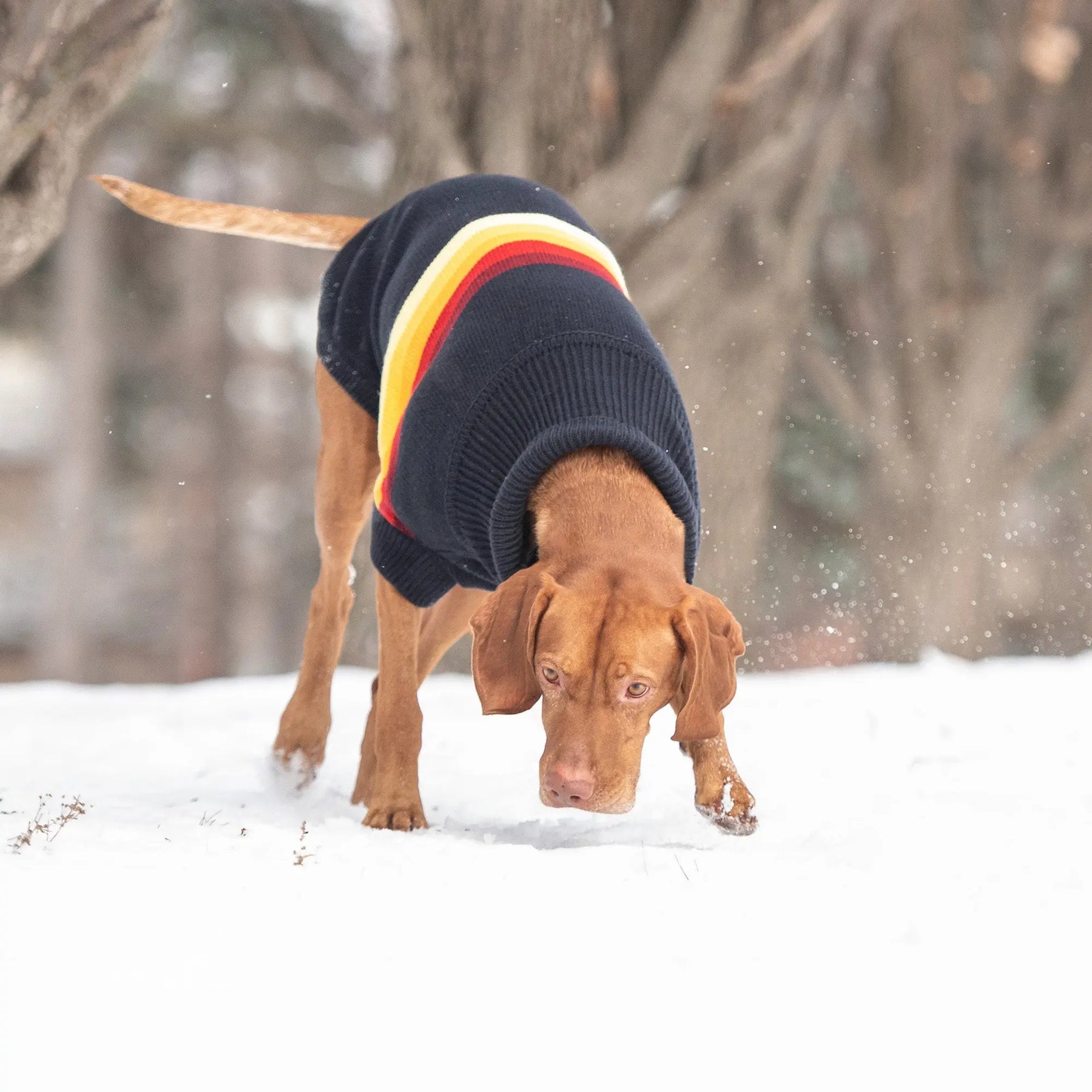 Retro Dog Sweater | Navy GF PET Apparel GF Pet Official Online Store