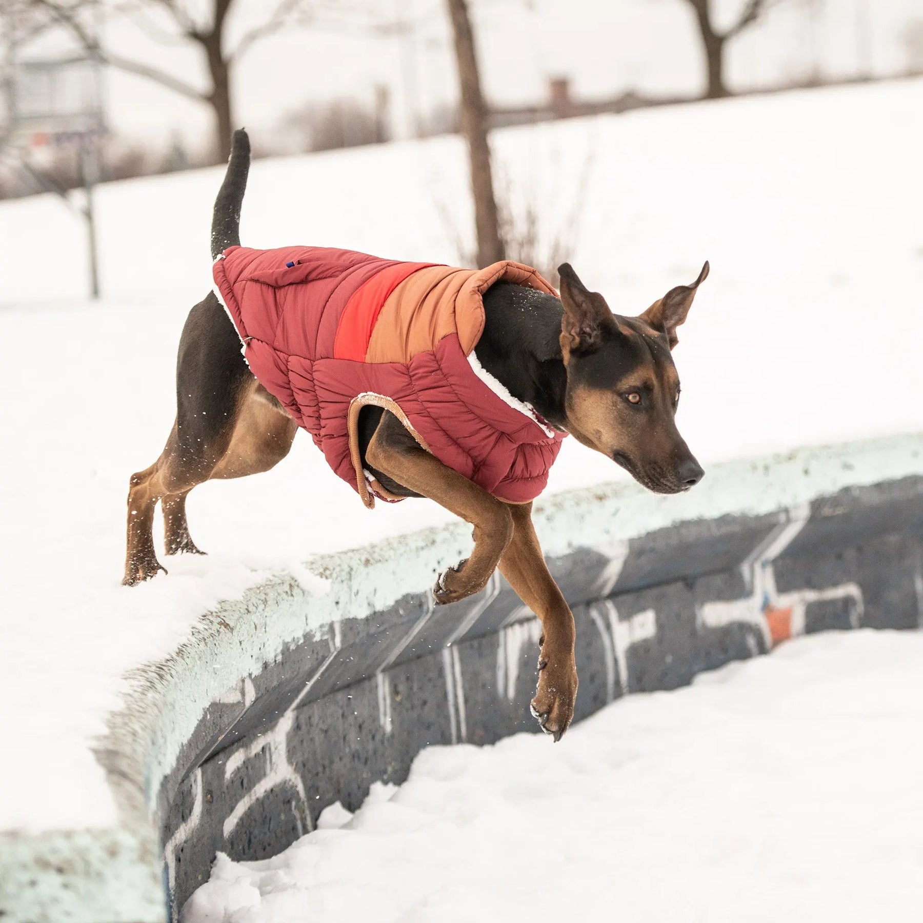 Retro Puffer | Dark Red GF PET Apparel GF Pet Official Online Store