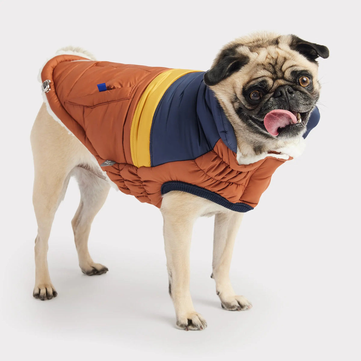 Retro Puffer | Hazel GF PET Apparel GF Pet Official Online Store