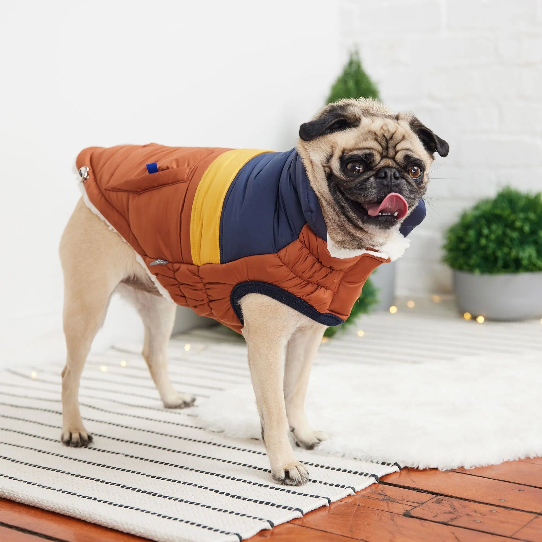 Retro Puffer | Hazel GF PET Apparel GF Pet Official Online Store