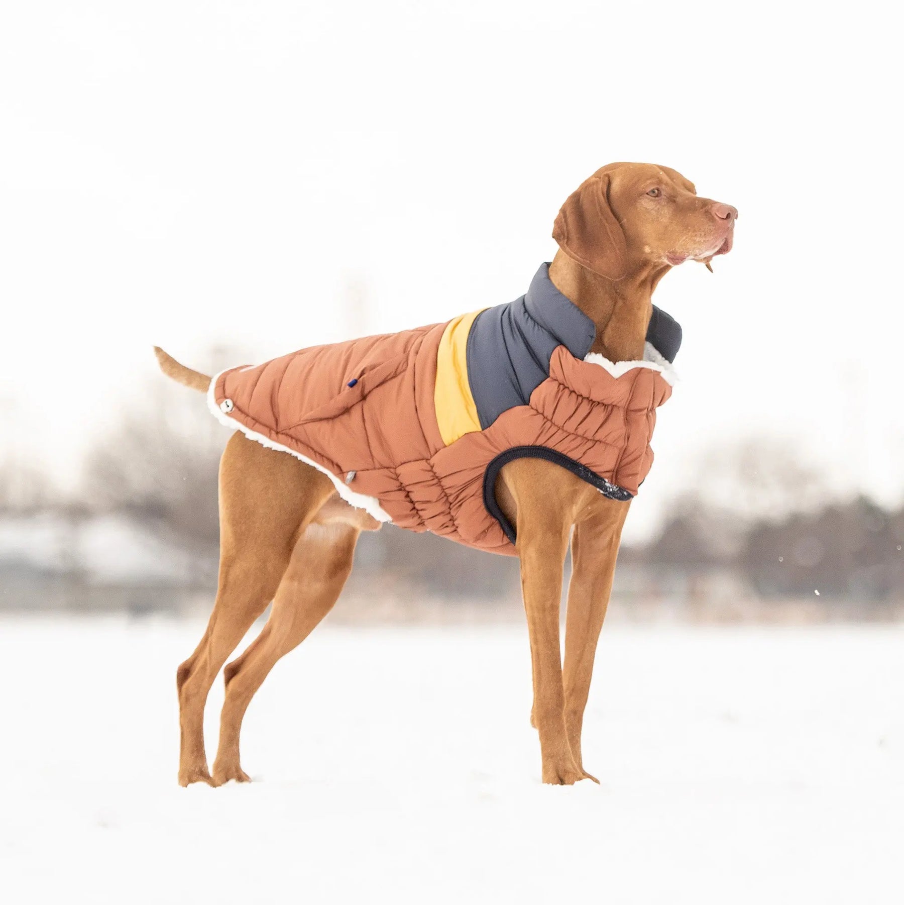 Retro Puffer | Hazel GF PET Apparel GF Pet Official Online Store