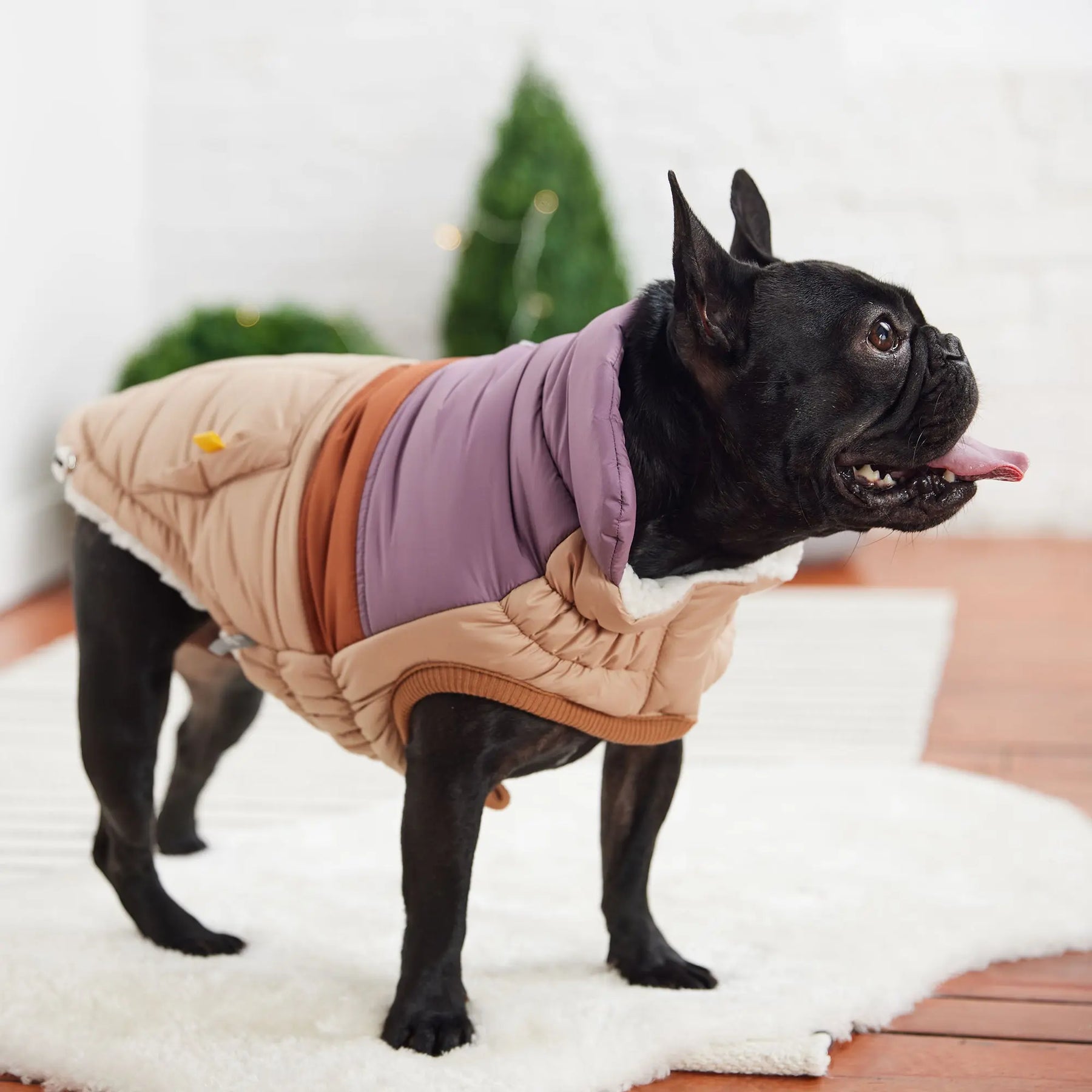 Retro Puffer | Sand GF PET Apparel GF Pet Official Online Store