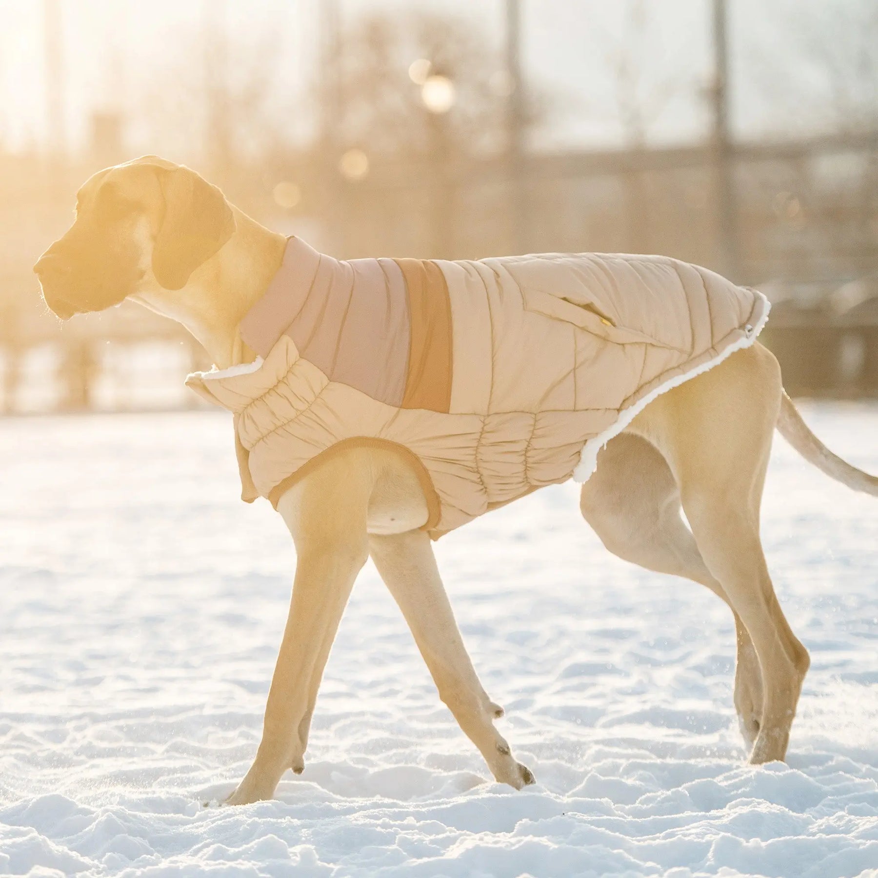 Retro Puffer | Sand GF PET Apparel GF Pet Official Online Store