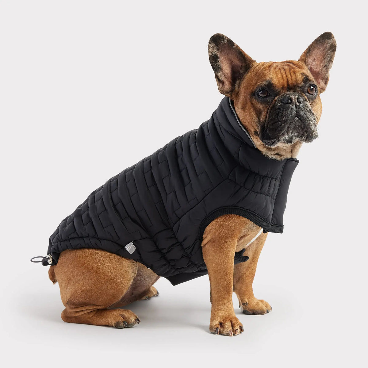 Reversible Chalet Jacket - Black GF PET