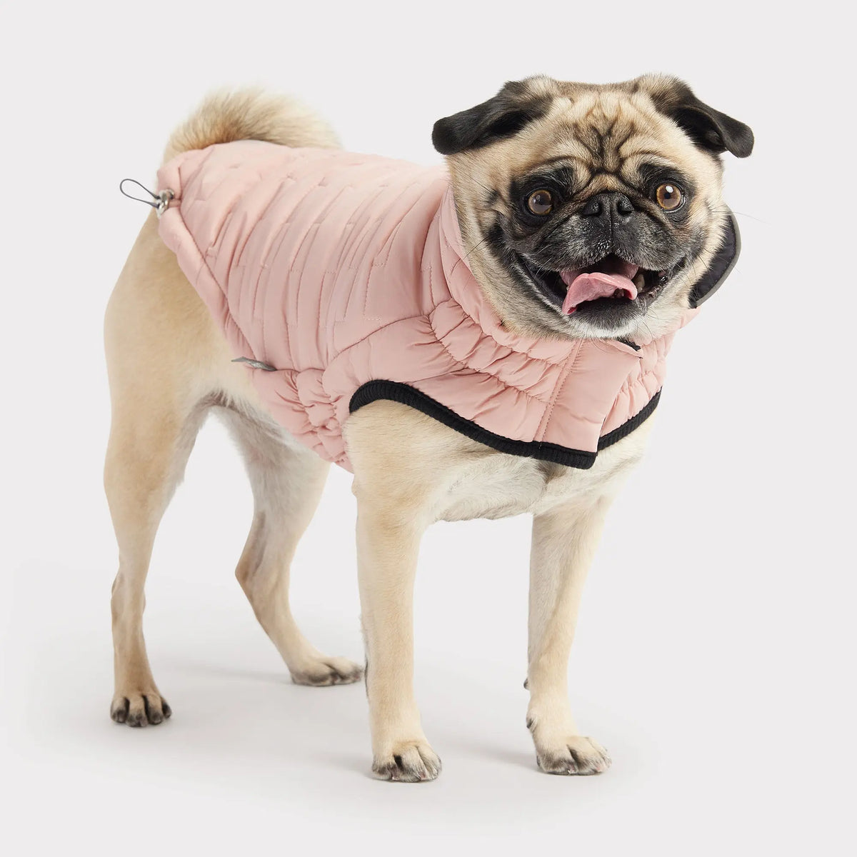 Reversible Chalet Jacket - Pink GF PET