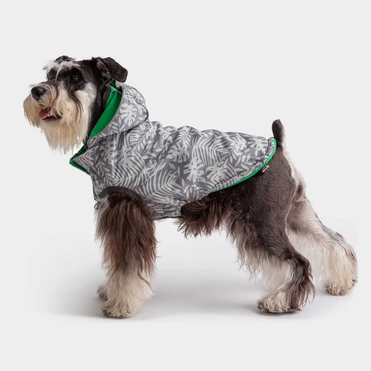 Reversible Raincoat - Green GF PET