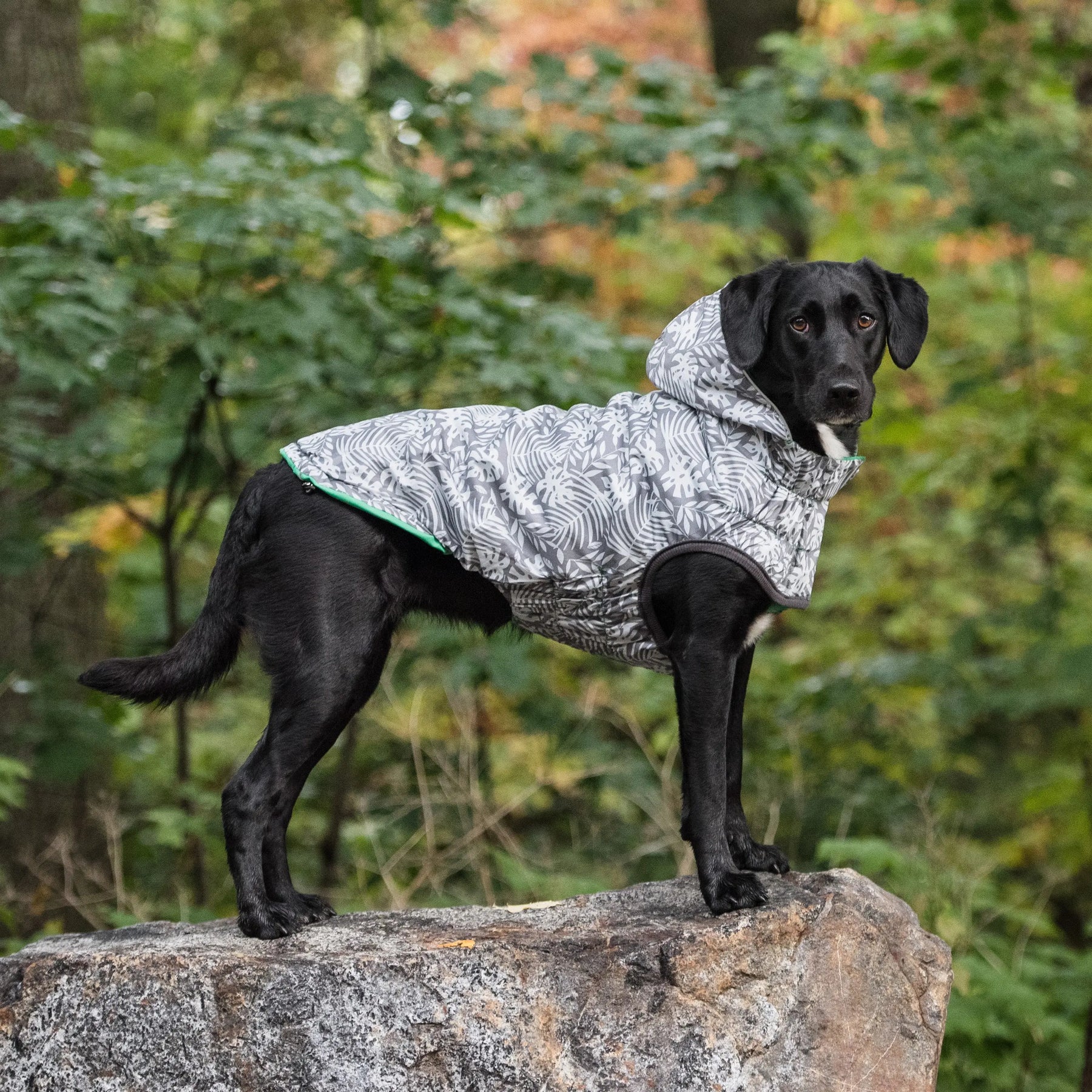 Reversible Raincoat - Green GF PET