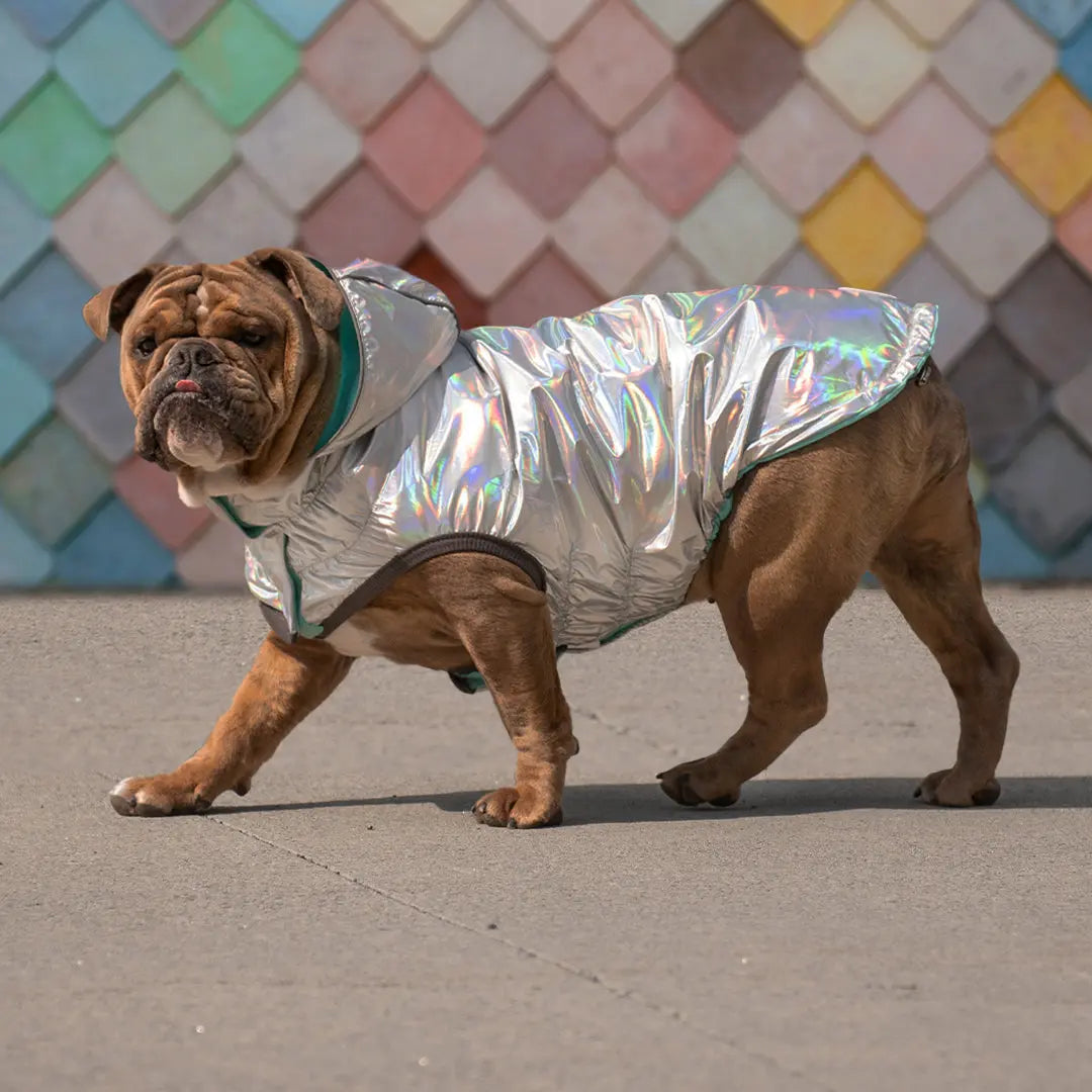 Reversible Raincoat - Neon Aqua and Iridescent GF PET