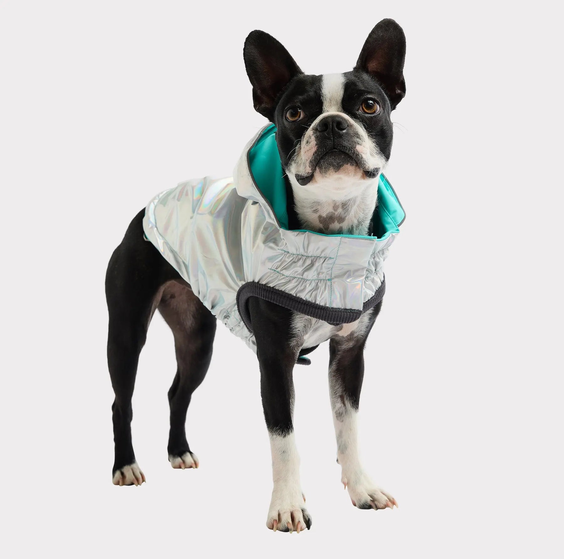 Reversible Raincoat - Neon Aqua and Iridescent GF PET