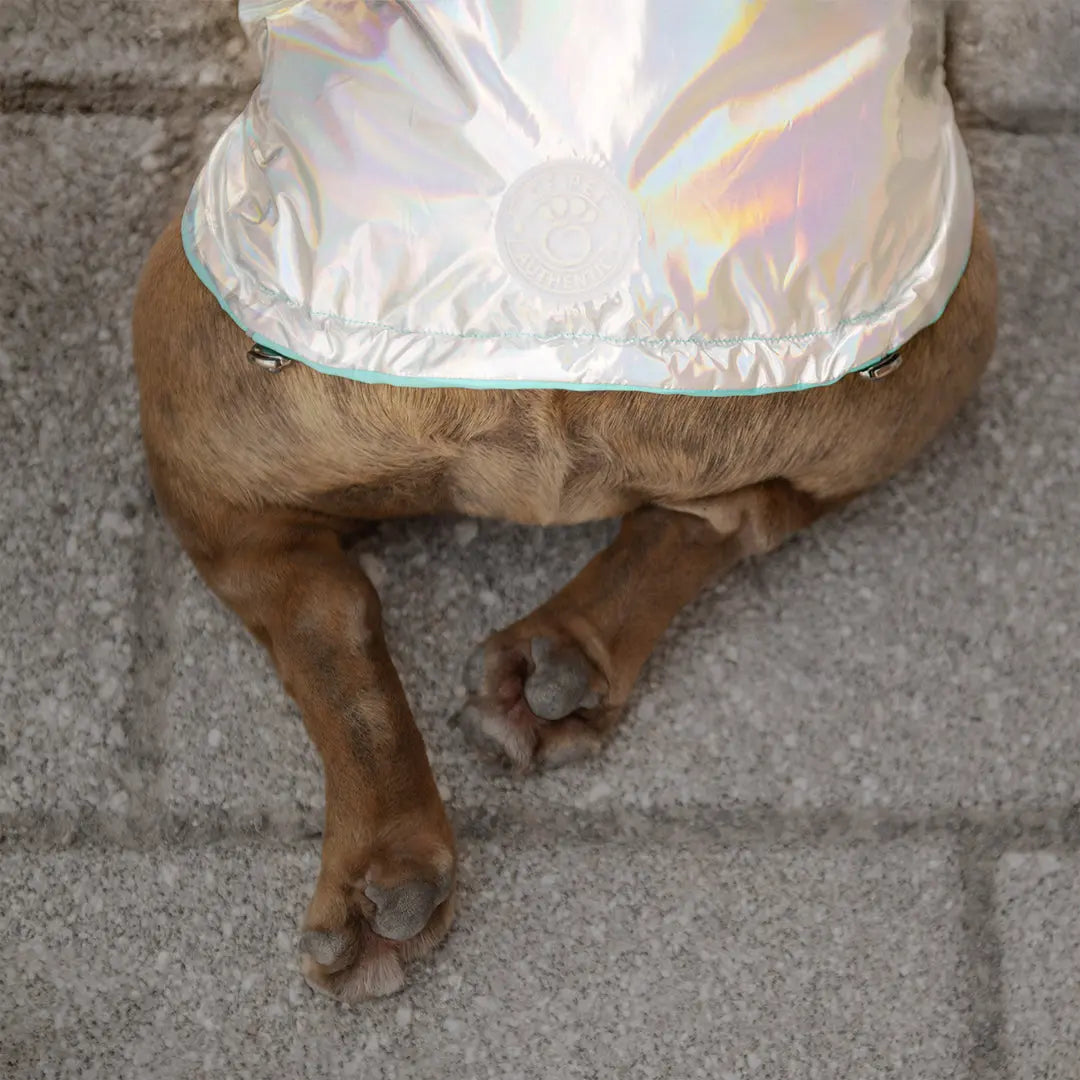 Reversible Raincoat - Neon Aqua and Iridescent GF PET