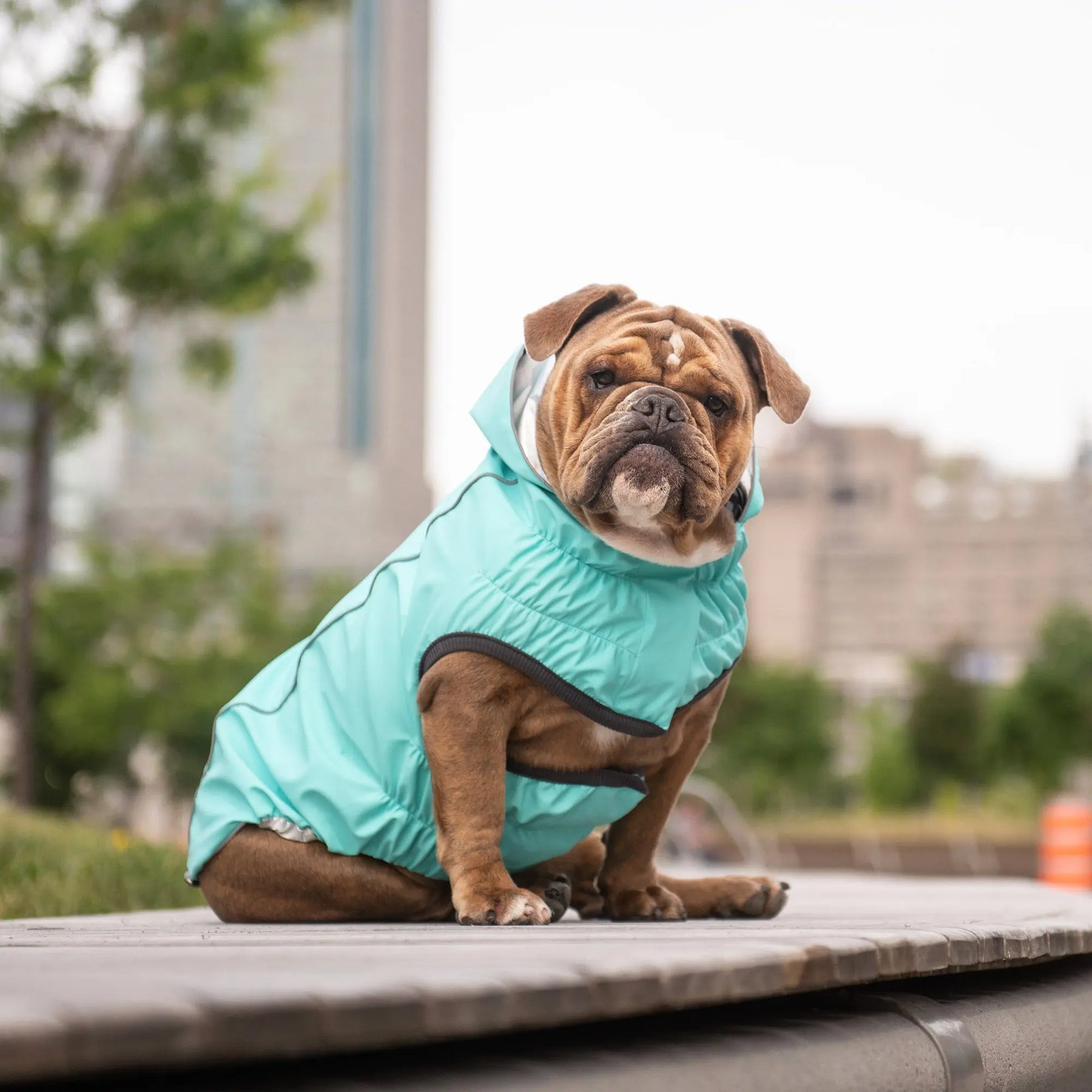 Reversible Raincoat - Neon Aqua and Iridescent GF PET
