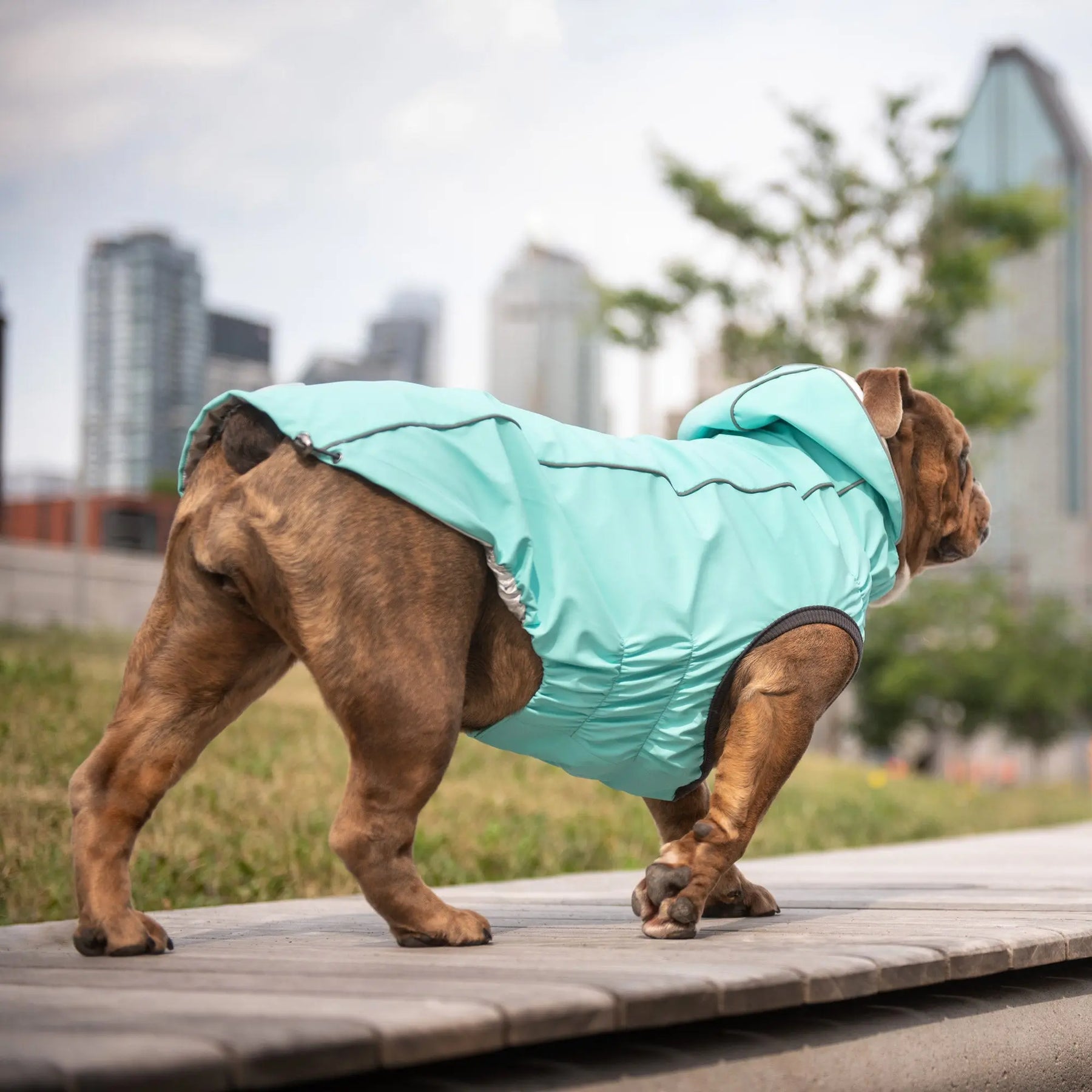 Reversible Raincoat - Neon Aqua and Iridescent GF PET