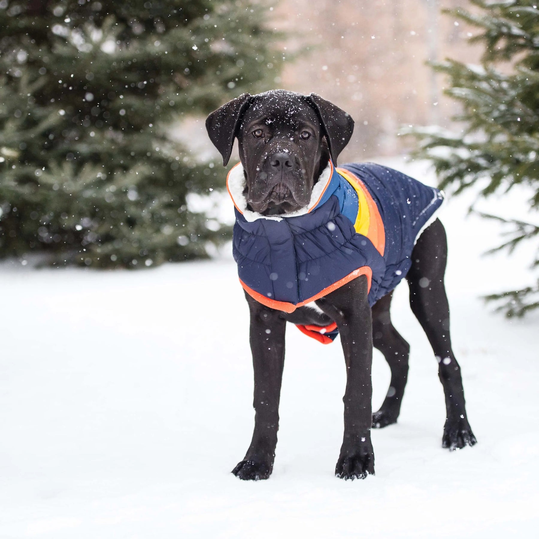 Summit Puffer - Navy GF PET