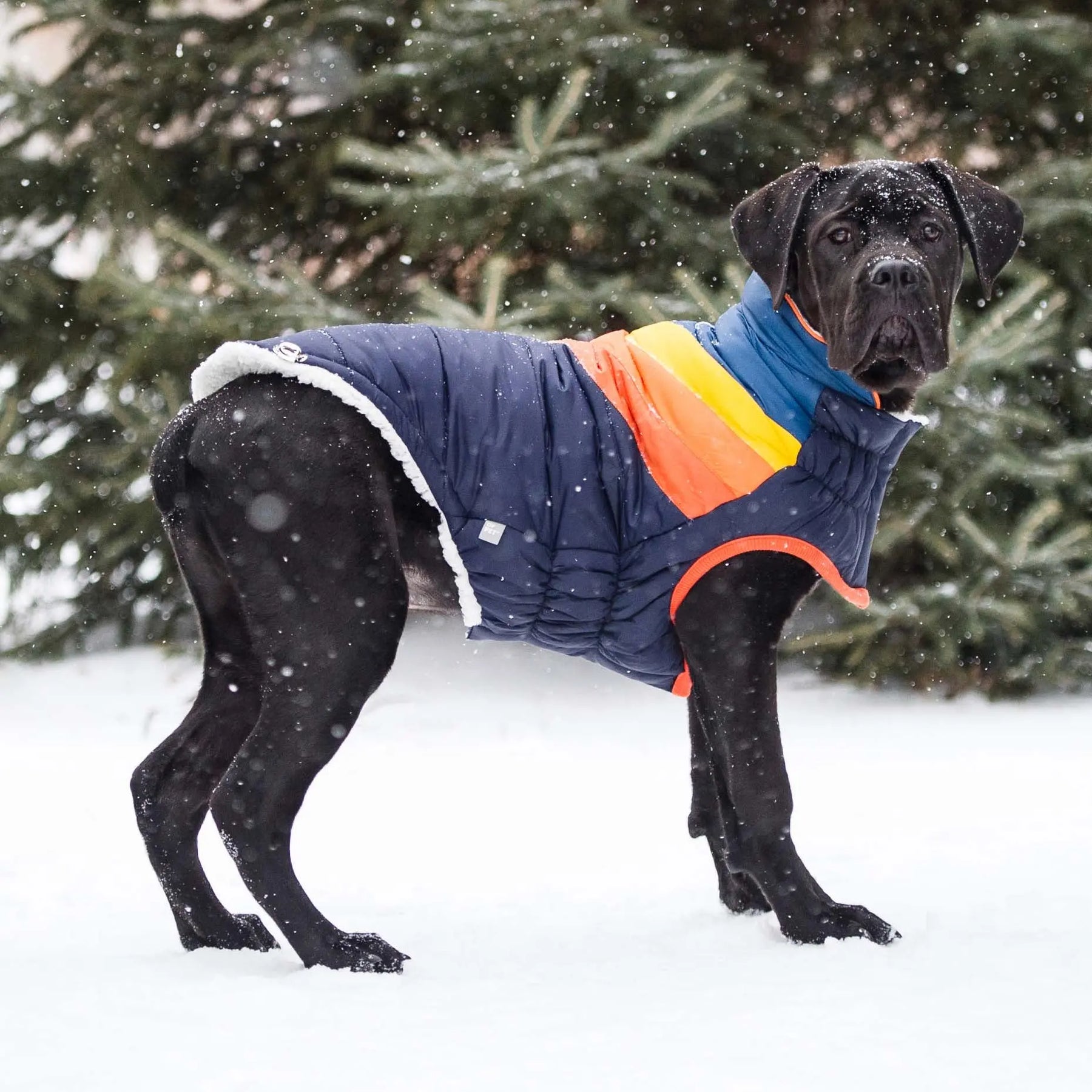 Summit Puffer - Navy GF PET