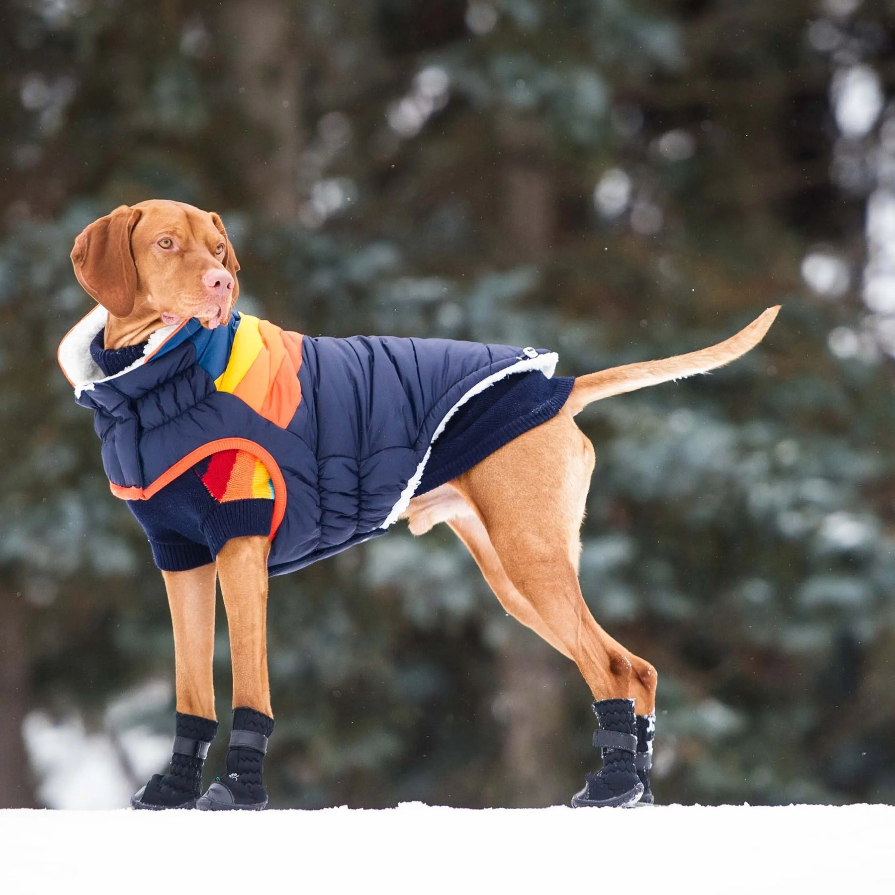 Summit Puffer - Navy GF PET