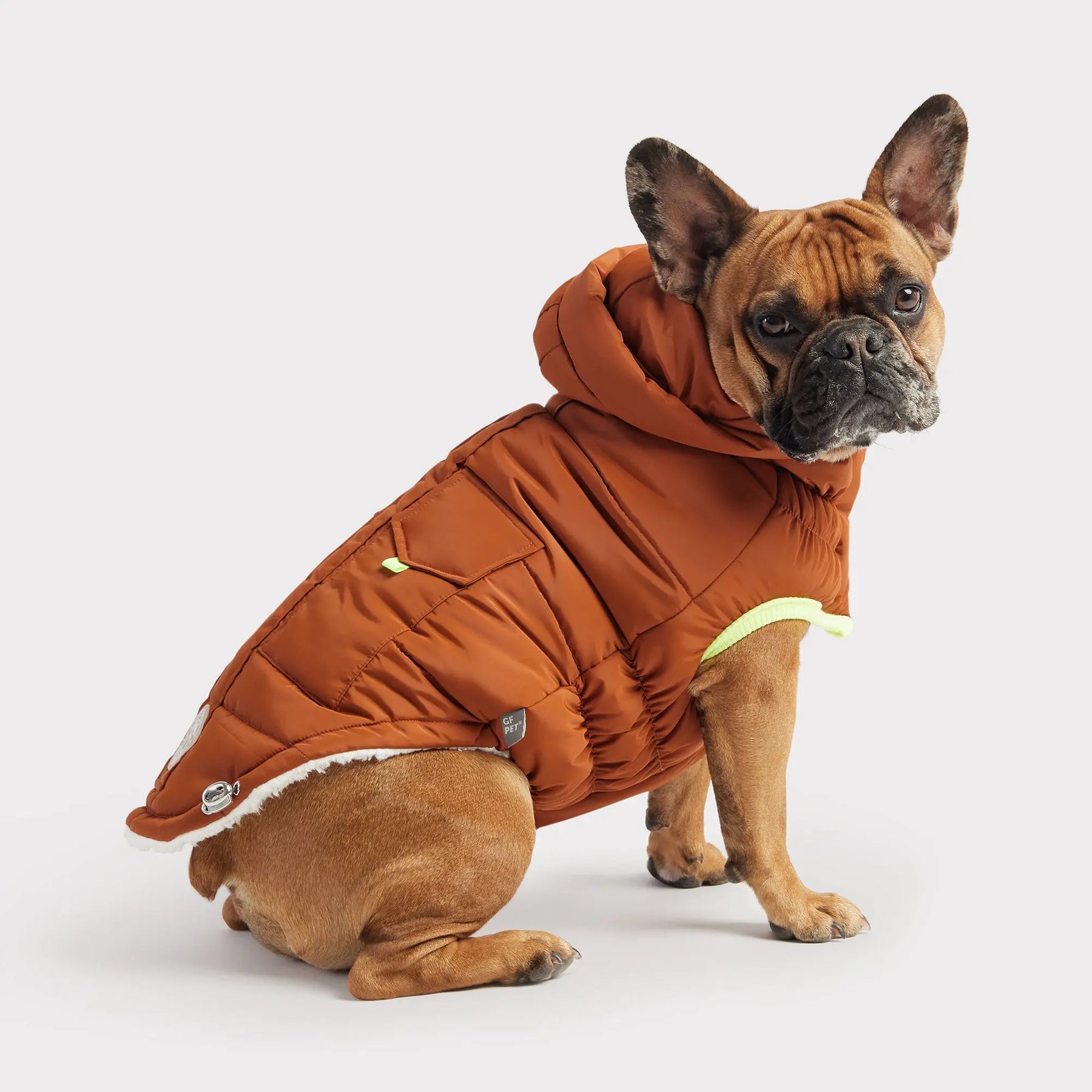 Super Puff Parka | Hazel GF PET Apparel GF Pet Official Online Store