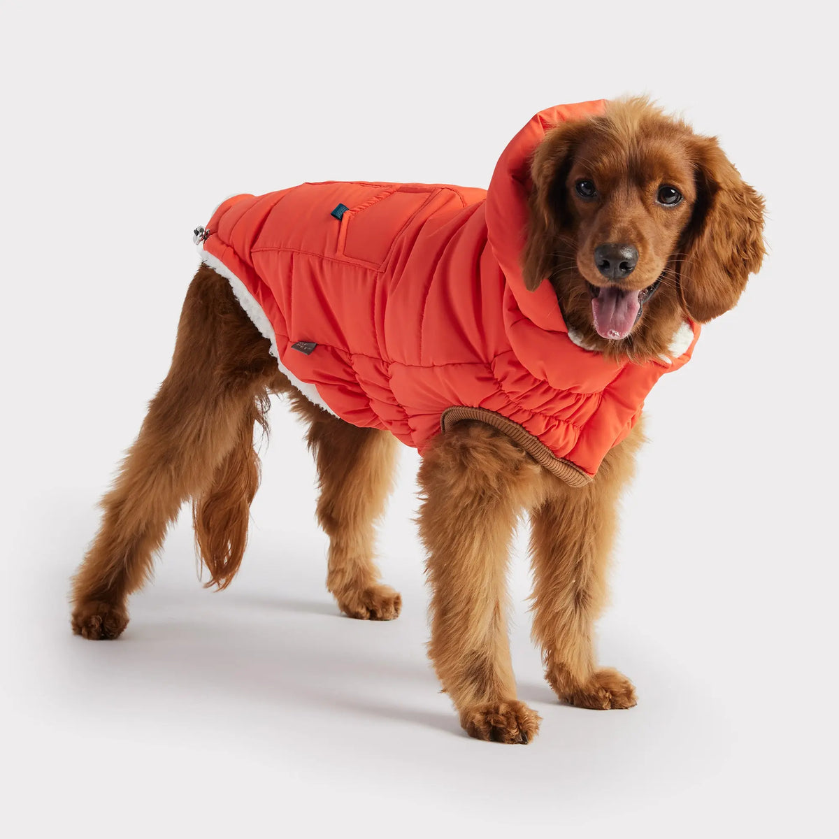 Super Puff Parka | Orange GF PET Apparel GF Pet Official Online Store