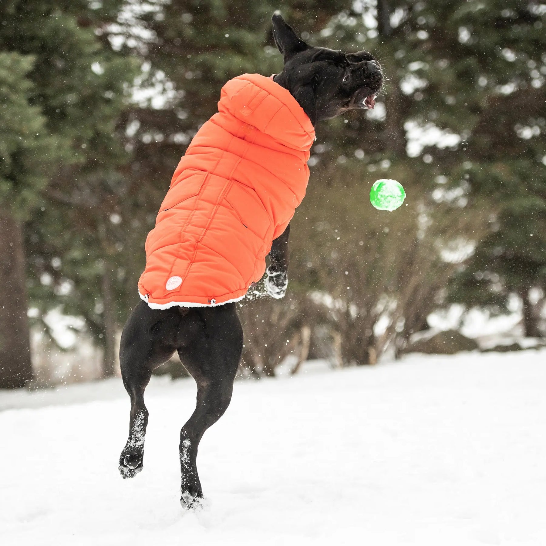 Super Puff Parka | Orange GF PET Apparel GF Pet Official Online Store