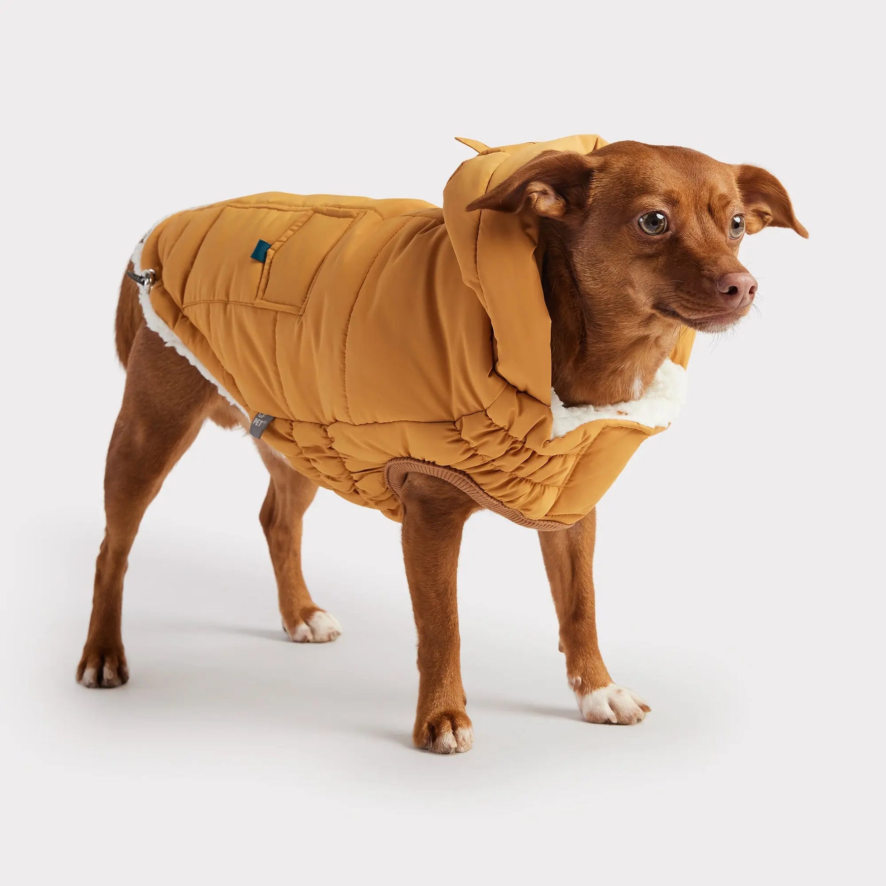 Super Puff Parka | Yellow GF PET Apparel GF Pet Official Online Store
