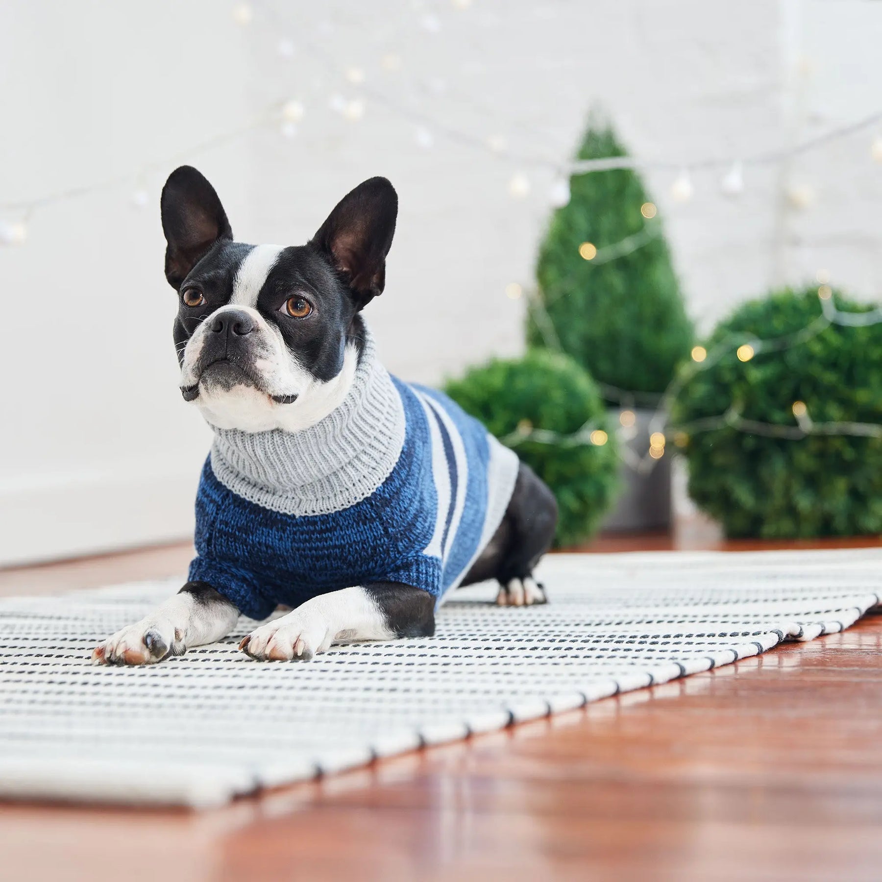 Trekking Dog Sweater | Blue GF PET Apparel GF Pet Official Online Store
